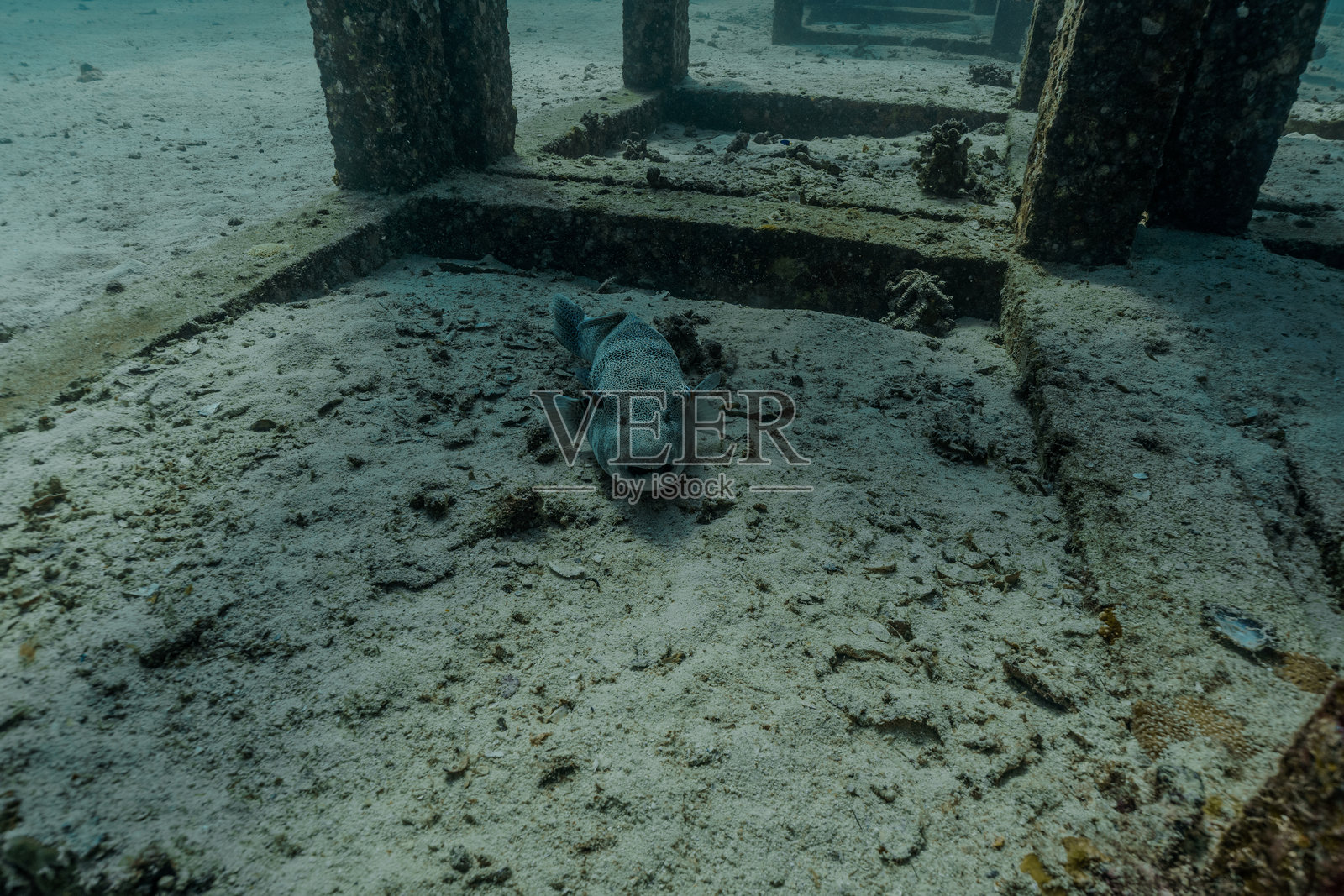 泰国，普吉岛及周边地区照片摄影图片