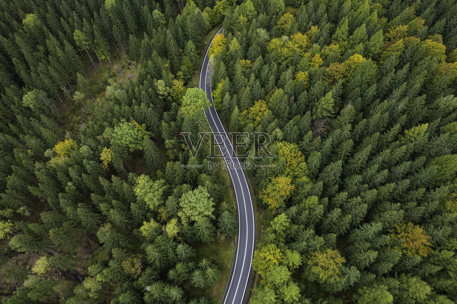 秋季蜿蜒的森林公路鸟瞰图照片摄影图片