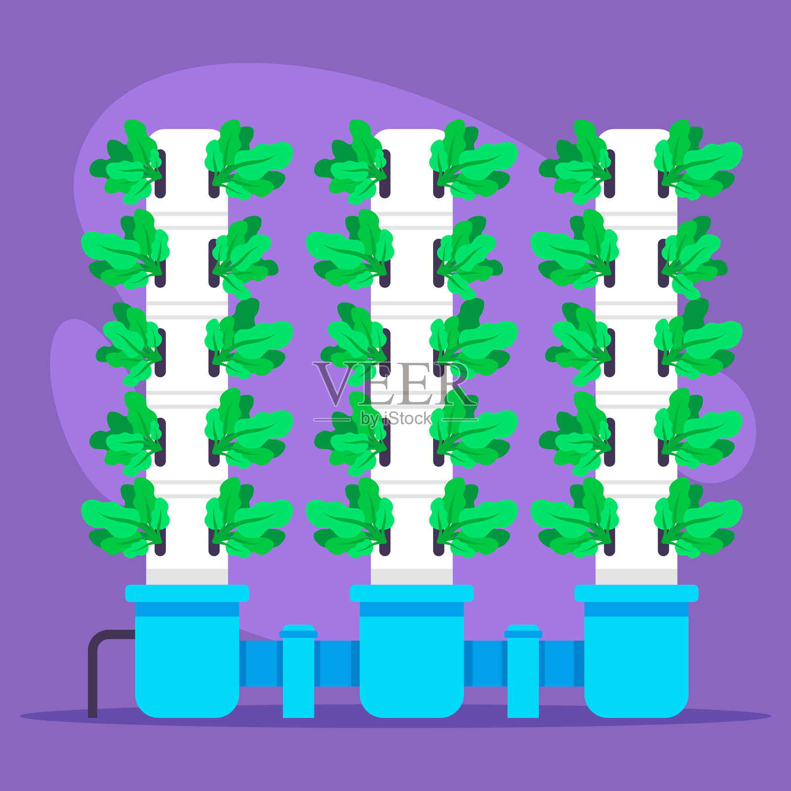 城市环境中的垂直水培系统与绿叶蔬菜插画图片素材