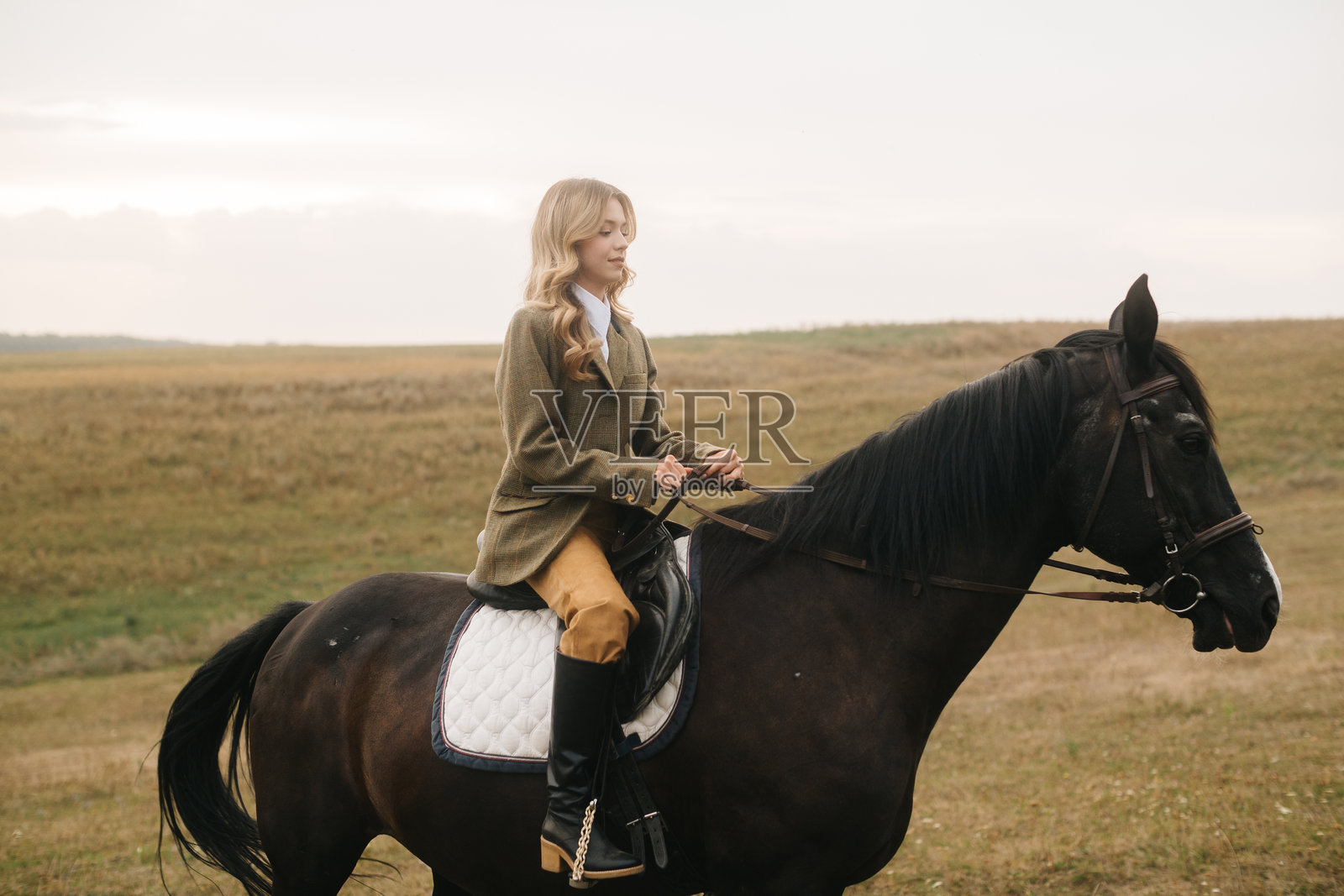 在风景如画的乡村环境中骑着黑马的女人照片摄影图片