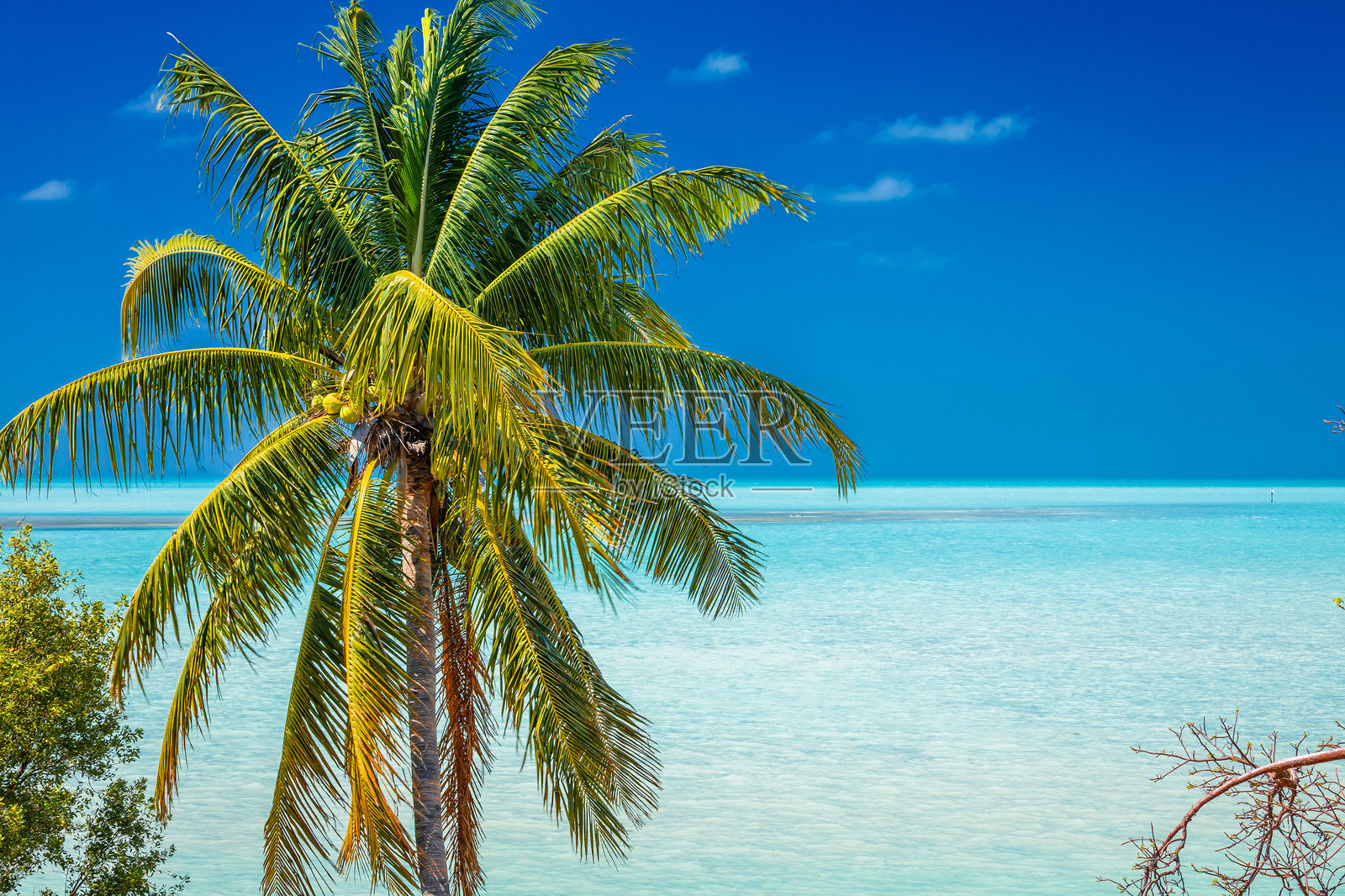 美国佛罗里达群岛大松岛附近的碧绿色海景照片摄影图片