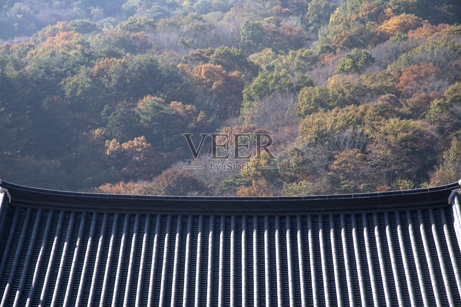 秋天的屋顶和山脉照片摄影图片