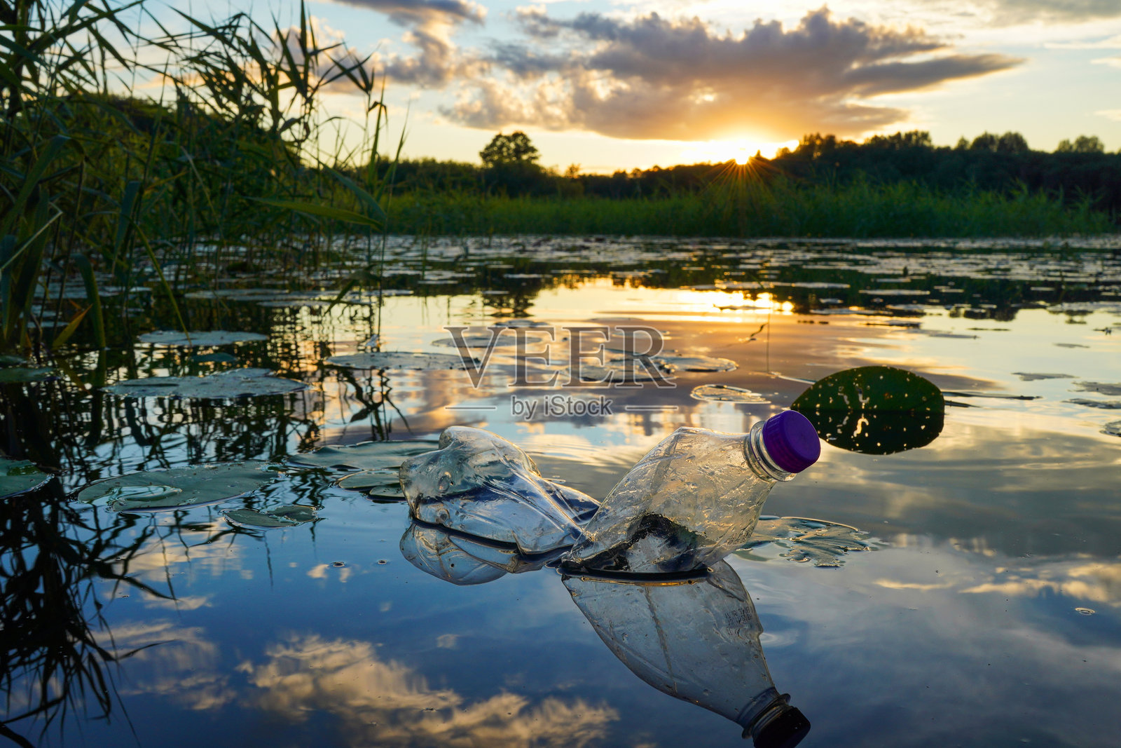 湖泊中的塑料垃圾。海洋污染，海洋废物。照片摄影图片