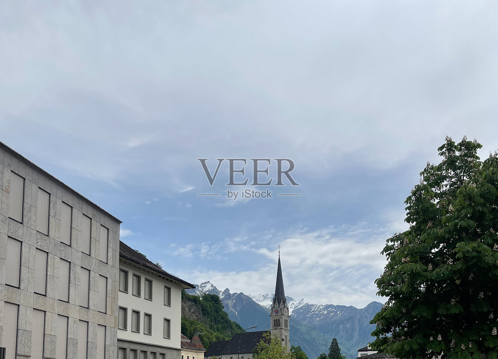 列支敦士登瓦杜兹的瓦杜兹大教堂照片摄影图片