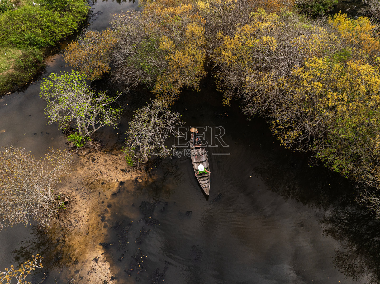 如茶，顺化也被称为东南亚最大潟湖系统——潭江潟湖中唯一稀有珍贵的原始红树林。照片摄影图片