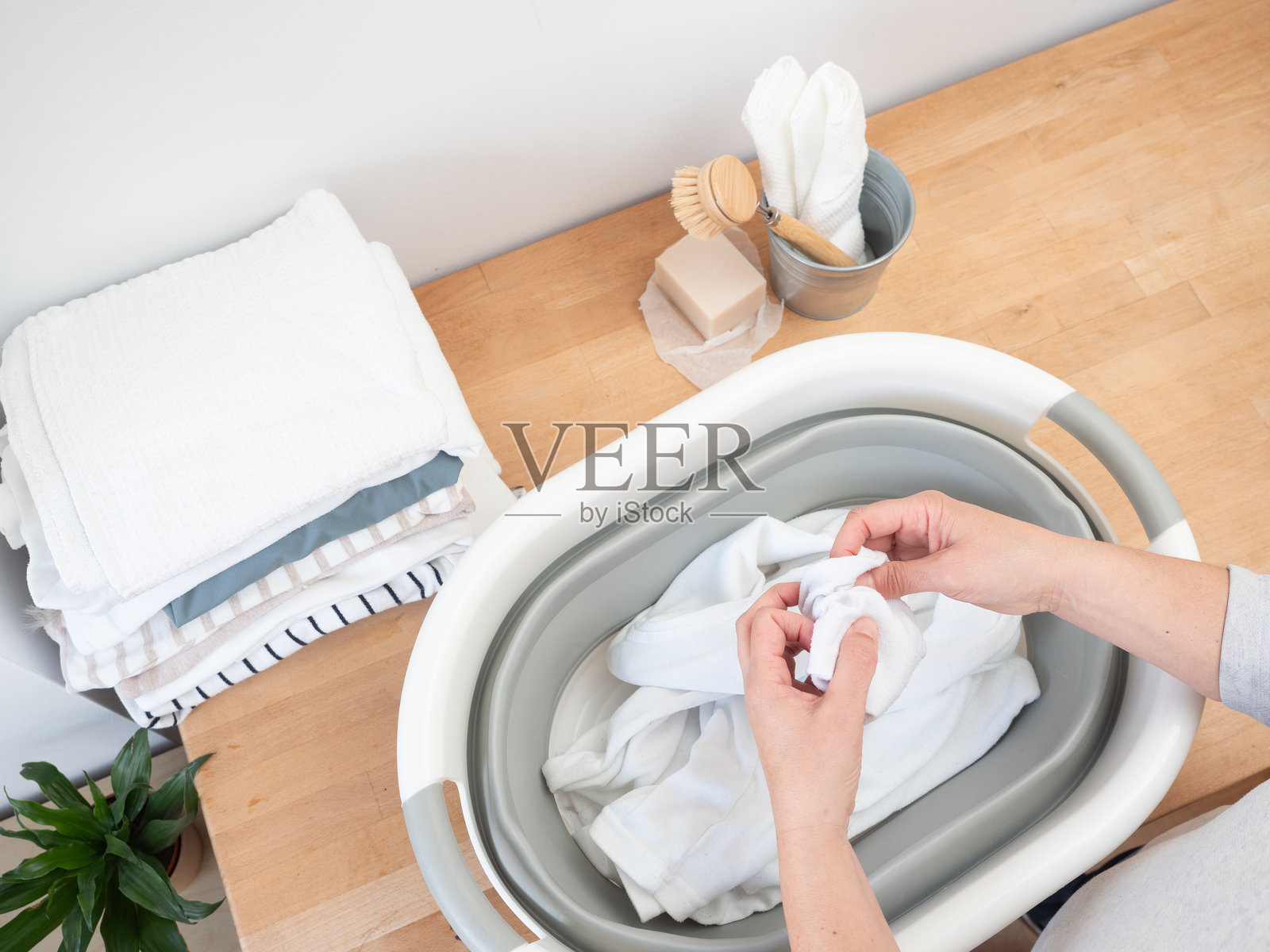 女人在洗衣桶中浸泡白色衣物，准备洗涤。照片摄影图片