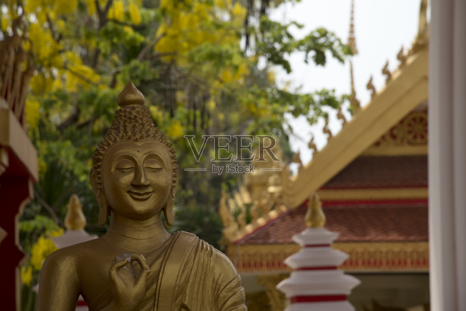 老挝佛教寺庙中的金色佛像照片摄影图片