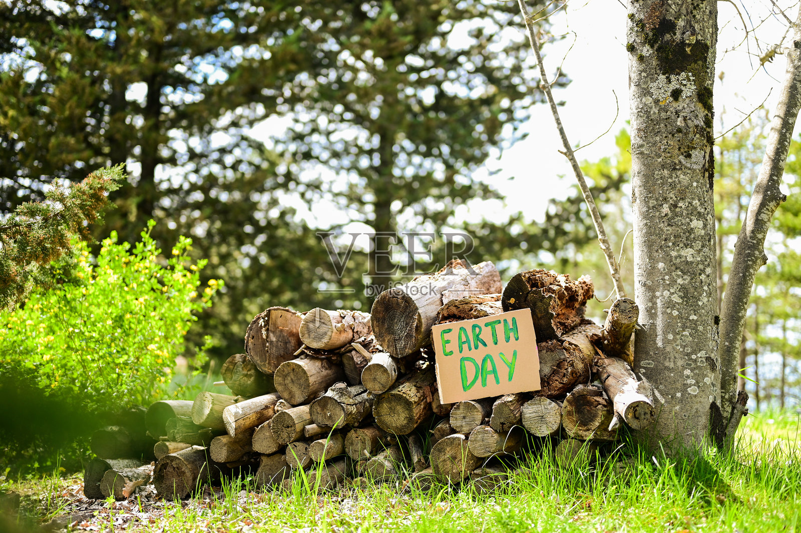 森林中靠在木材堆上的地球日标志照片摄影图片