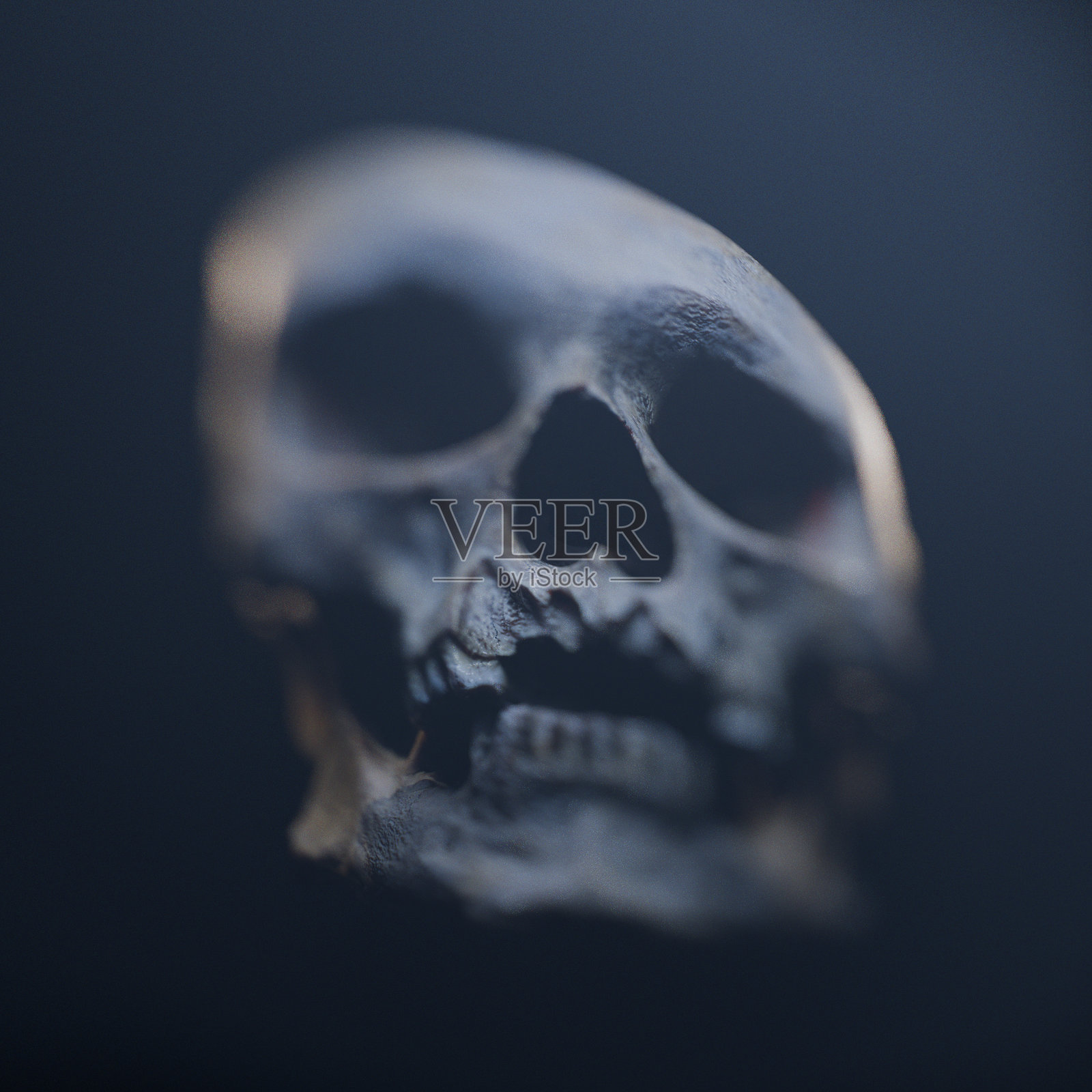 带有扭曲效果的人类头骨详细3D模型，营造出恐怖电影的美学。照片摄影图片