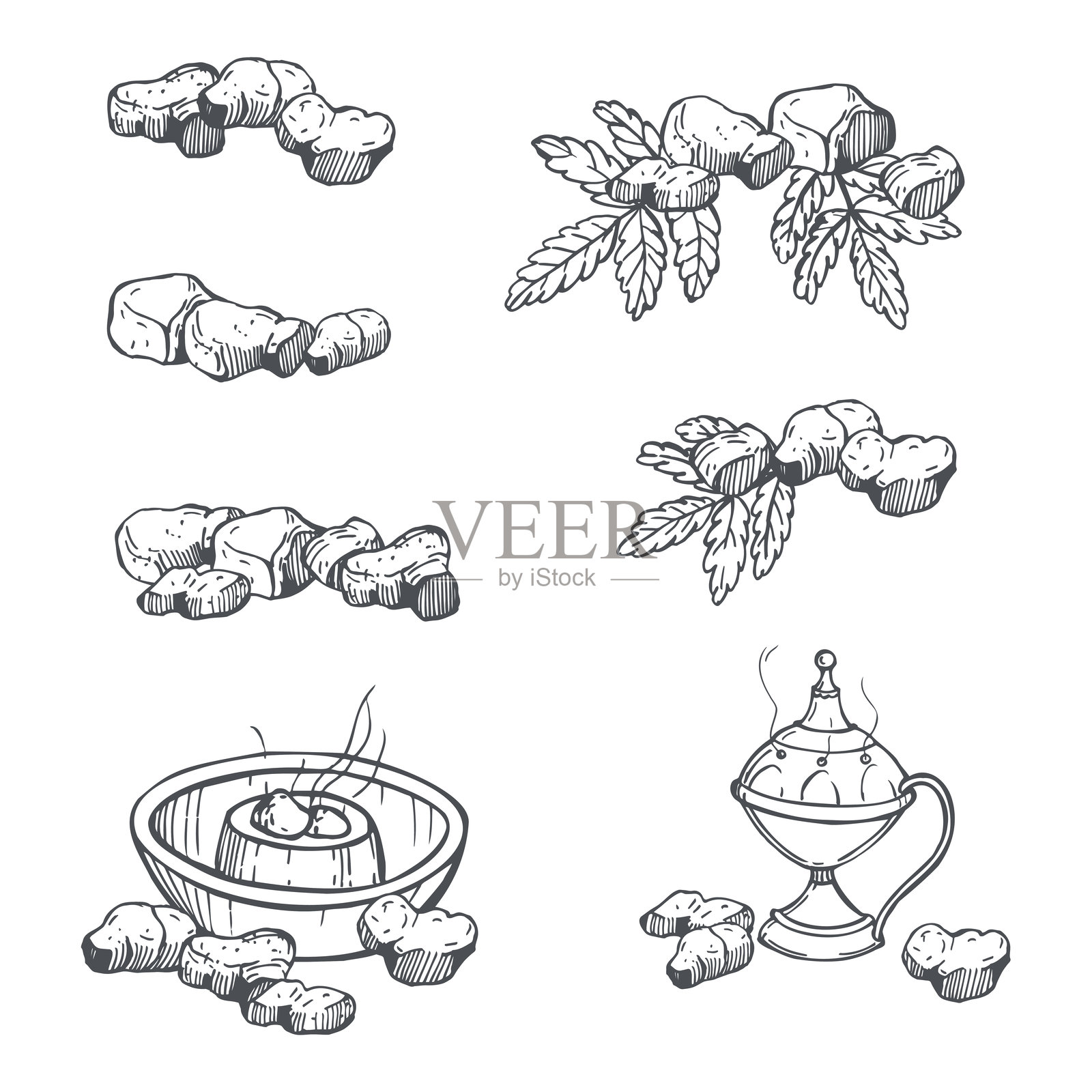 香料碎片。素描插图。插画图片素材