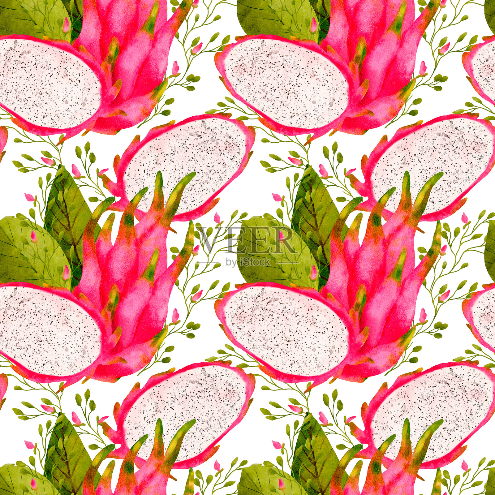 这是一个生动且引人注目的火龙果花卉图案设计，适合多种用途。插画图片素材