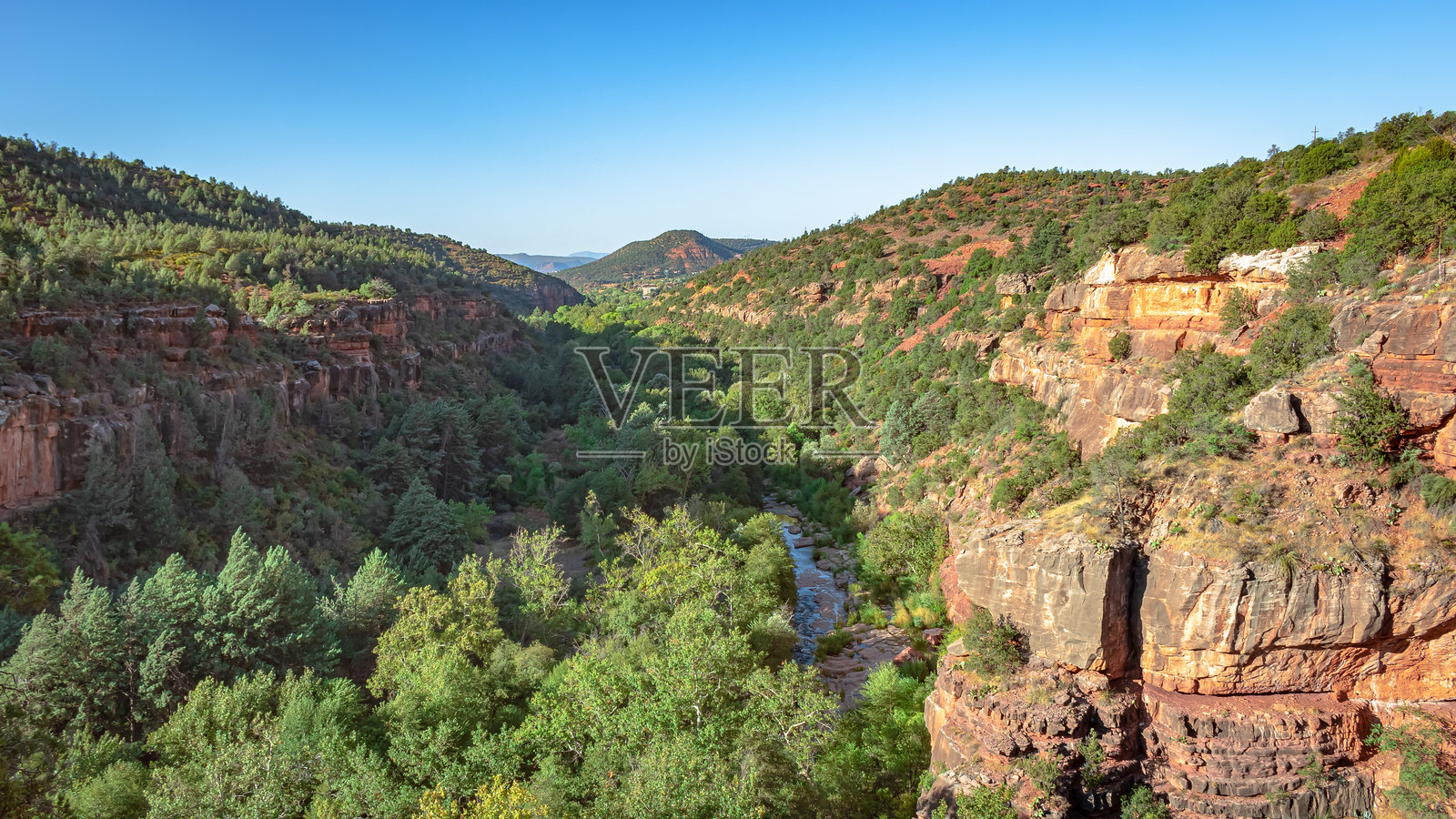 机场梅萨的红色岩石悬崖、山脉和森林景观，沿着一条泥土徒步小径。照片拍摄于晴朗的蓝天。照片摄影图片