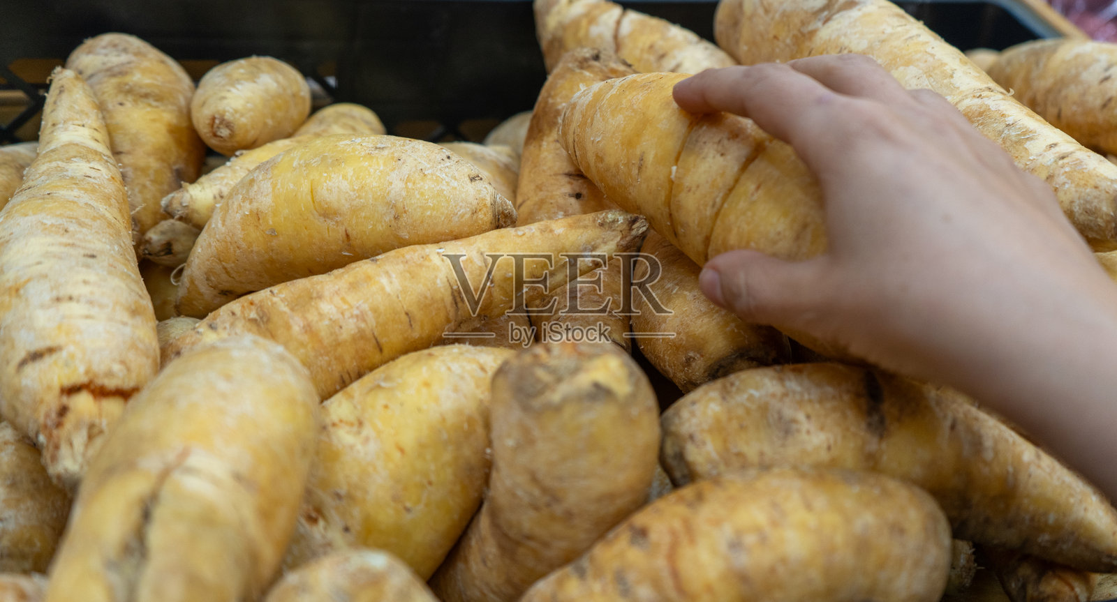 多根阿拉卡查根的特写，象征着食品通货膨胀照片摄影图片