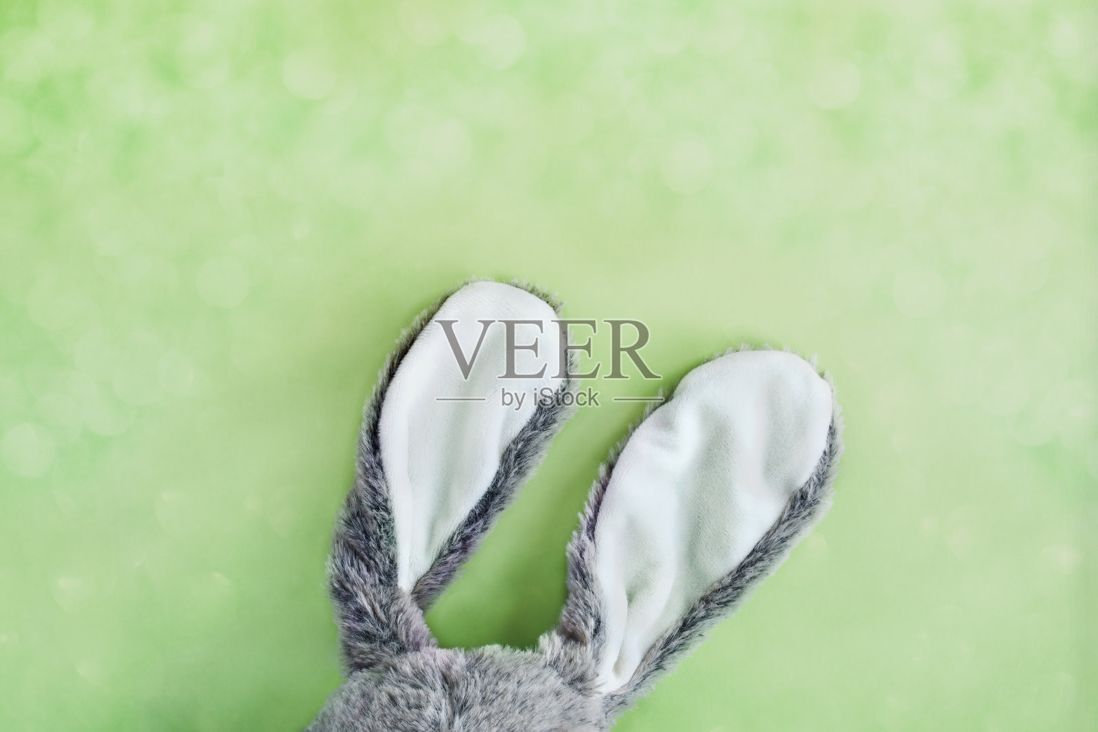 可爱的复活节兔耳朵在绿色背景上照片摄影图片