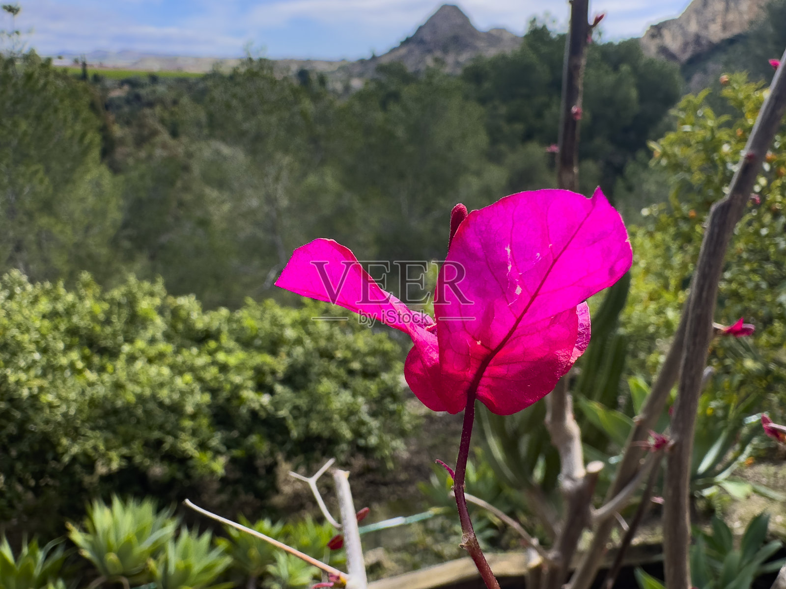 阿尔切纳的自然魅力：里科特山谷风景，塞古拉河，西班牙穆尔西亚照片摄影图片