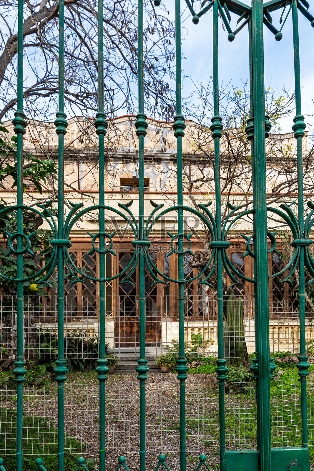 华丽绿色铁门后面的废弃房屋照片摄影图片
