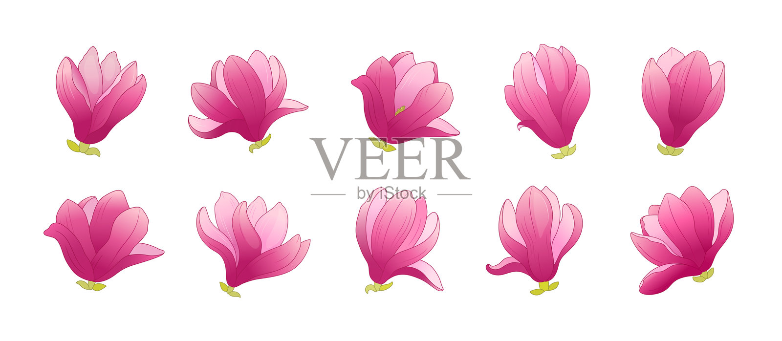 孤立的木兰花卡通图标。插画图片素材