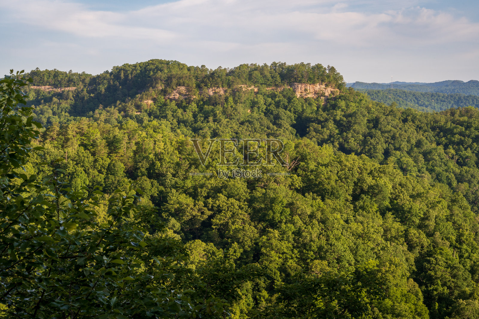 肯塔基州自然桥州立度假公园的夏日俯瞰景色照片摄影图片