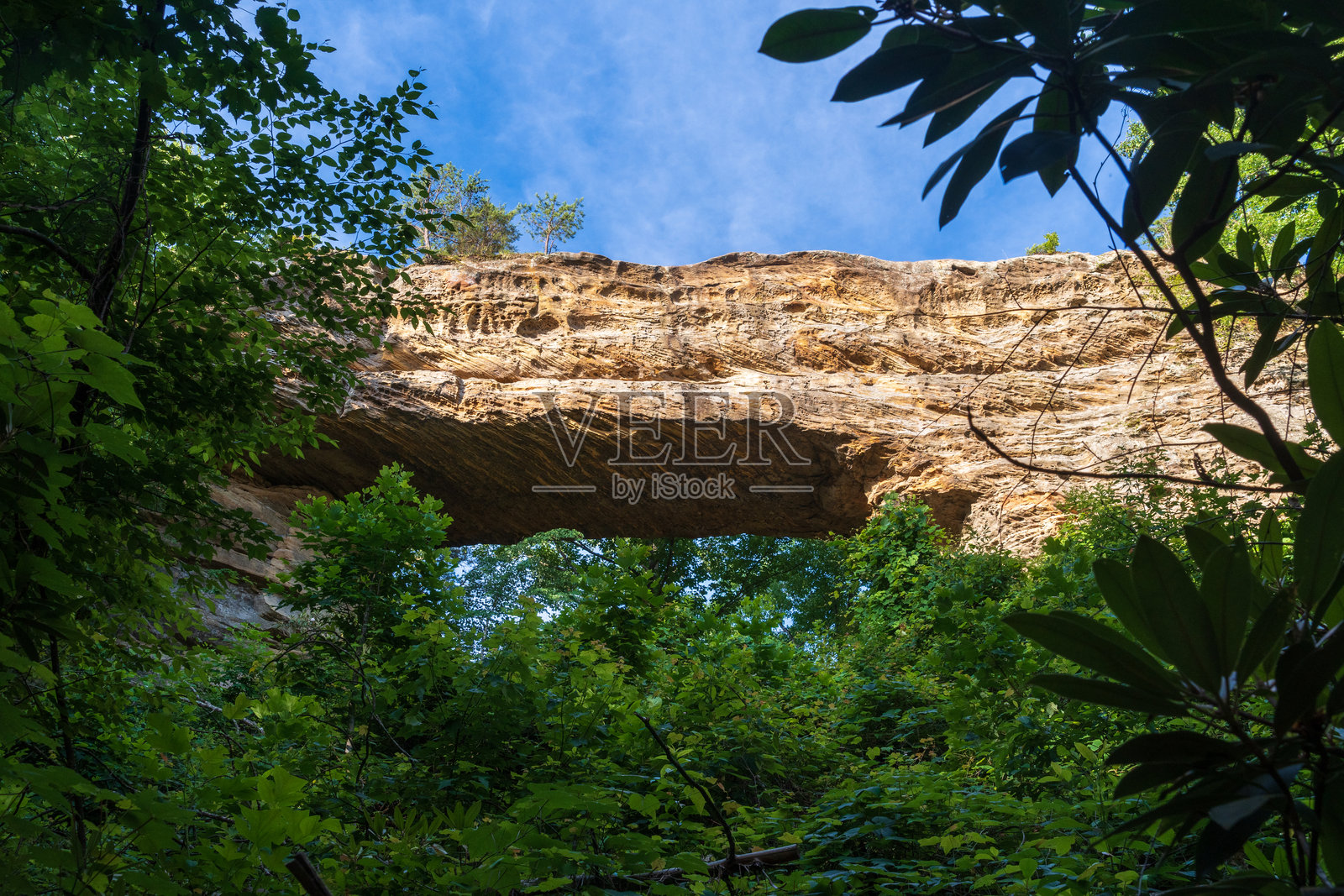 肯塔基州自然桥州立度假公园的夏日陆桥照片摄影图片