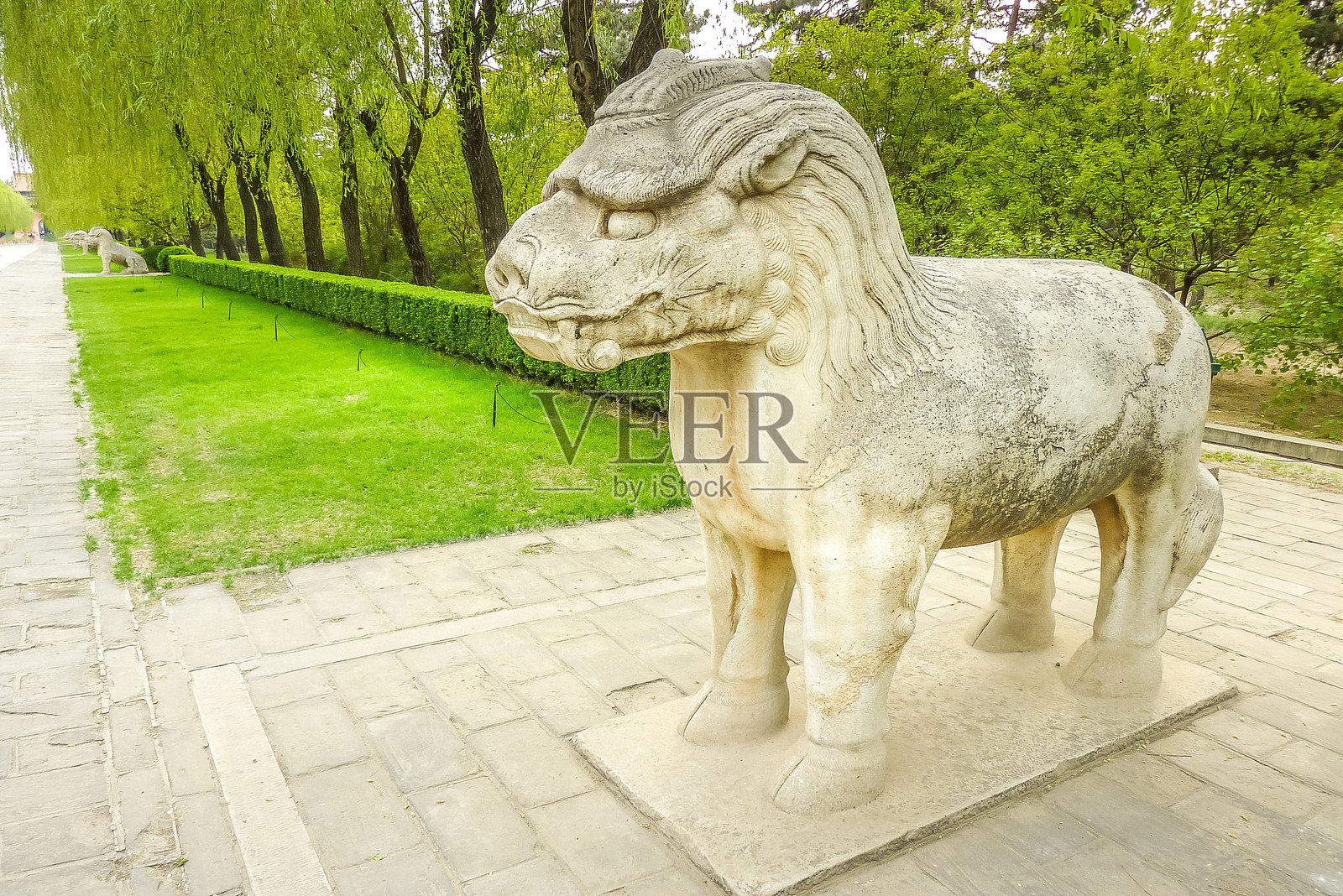 动物大道，北京，中国。照片摄影图片