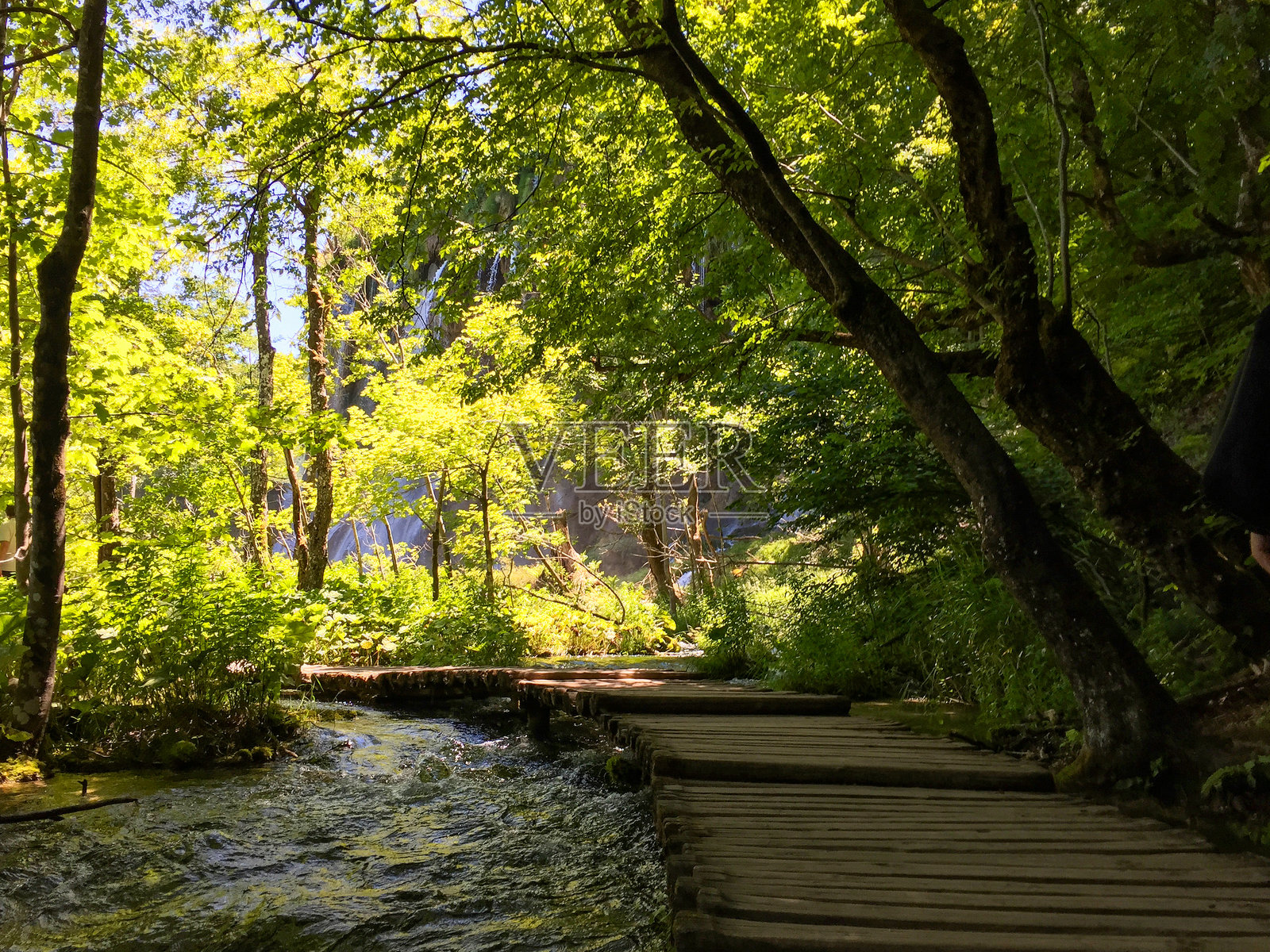 普利特维采森林小径与溪流照片摄影图片
