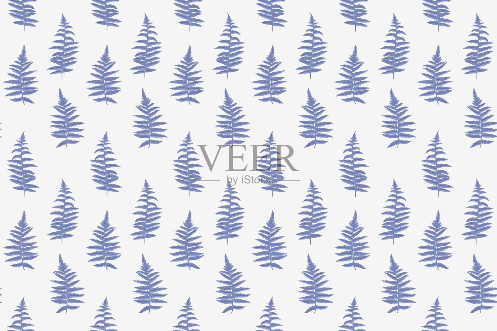 优雅的无缝蓝色极简蕨类植物图案，背景为白色。非常适合自然装饰设计、面料印刷、壁纸和文具。插画图片素材