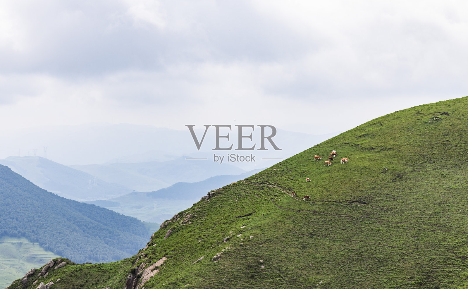 高山草甸风光照片摄影图片