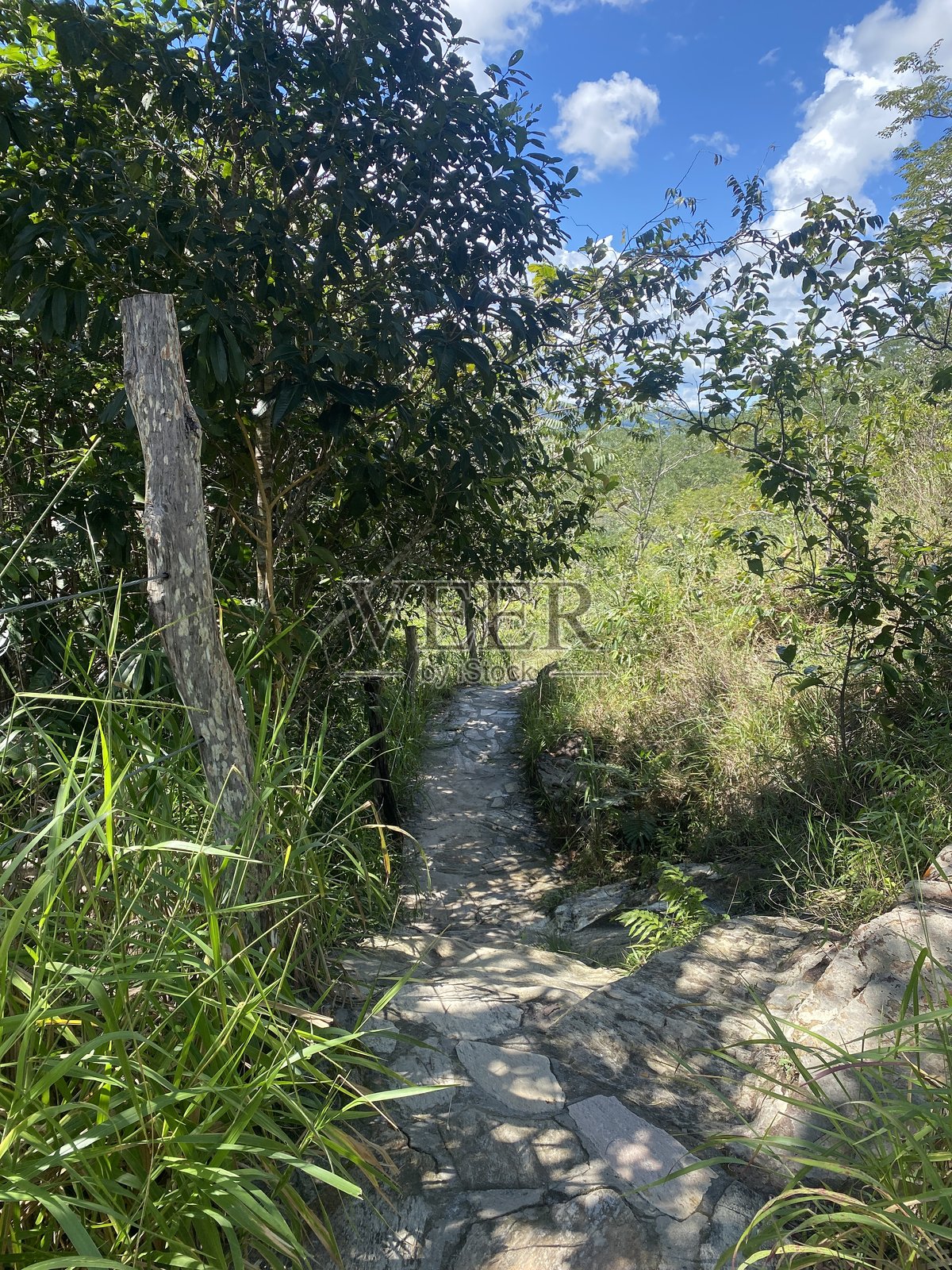 皮雷诺波利斯照片摄影图片