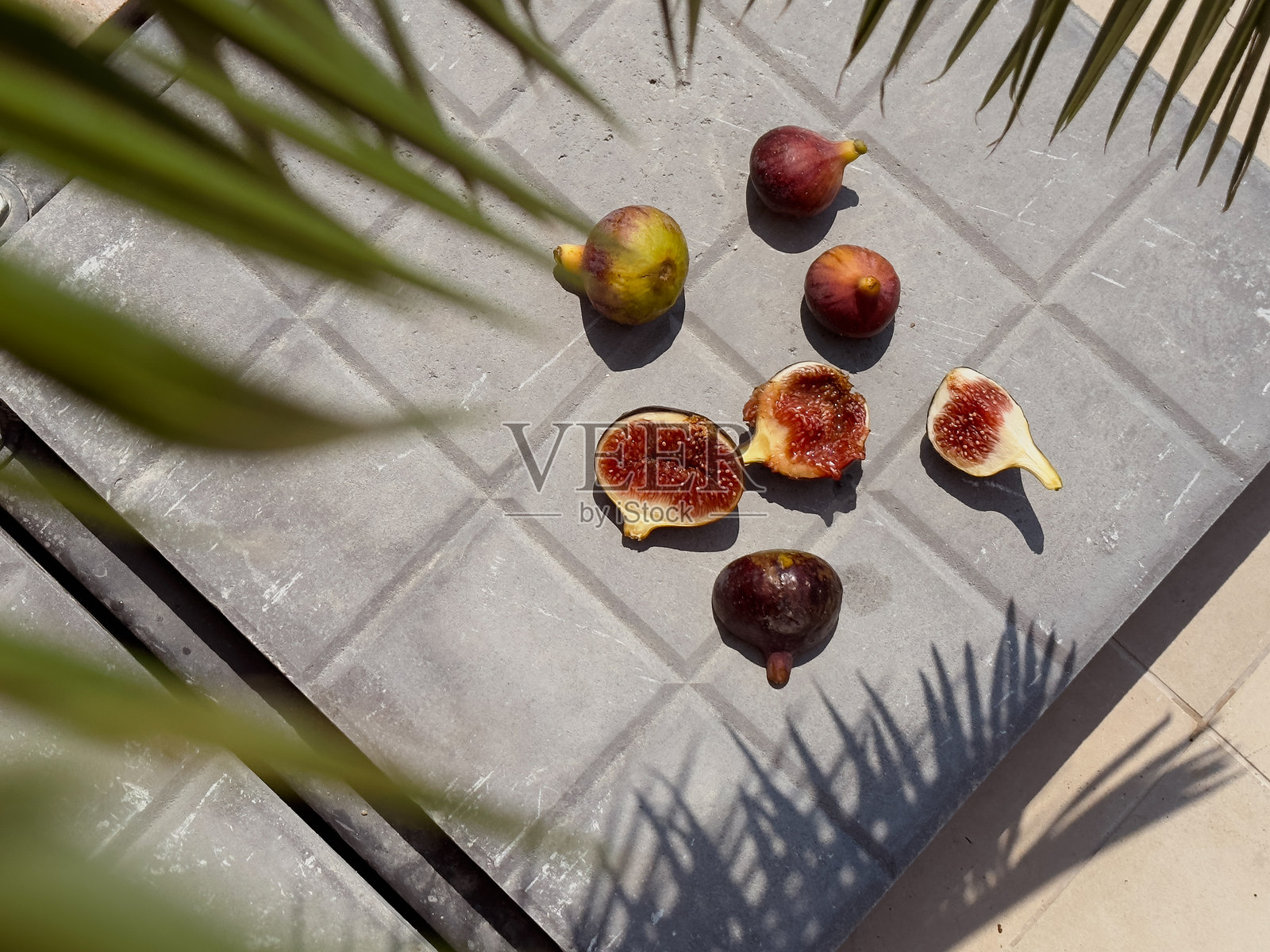 夏日无忧与无花果照片摄影图片