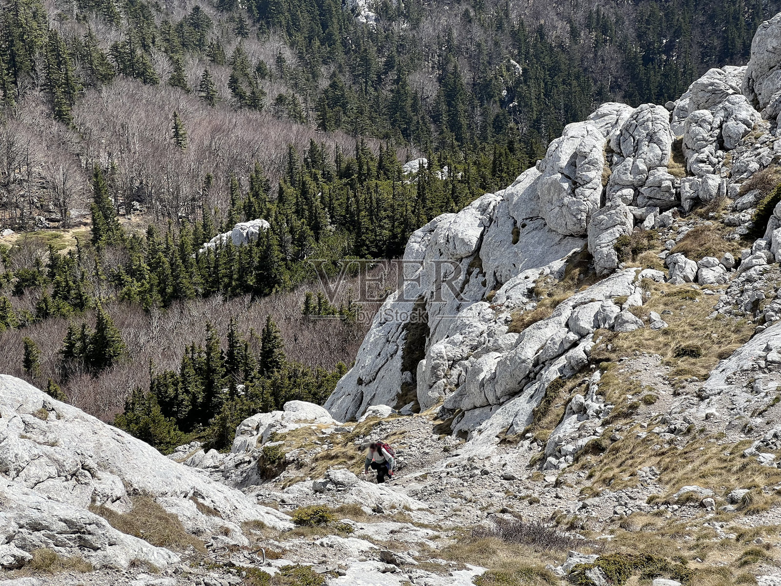 石灰岩和喀斯特山地景观 - 克罗地亚北维莱比特国家公园照片摄影图片