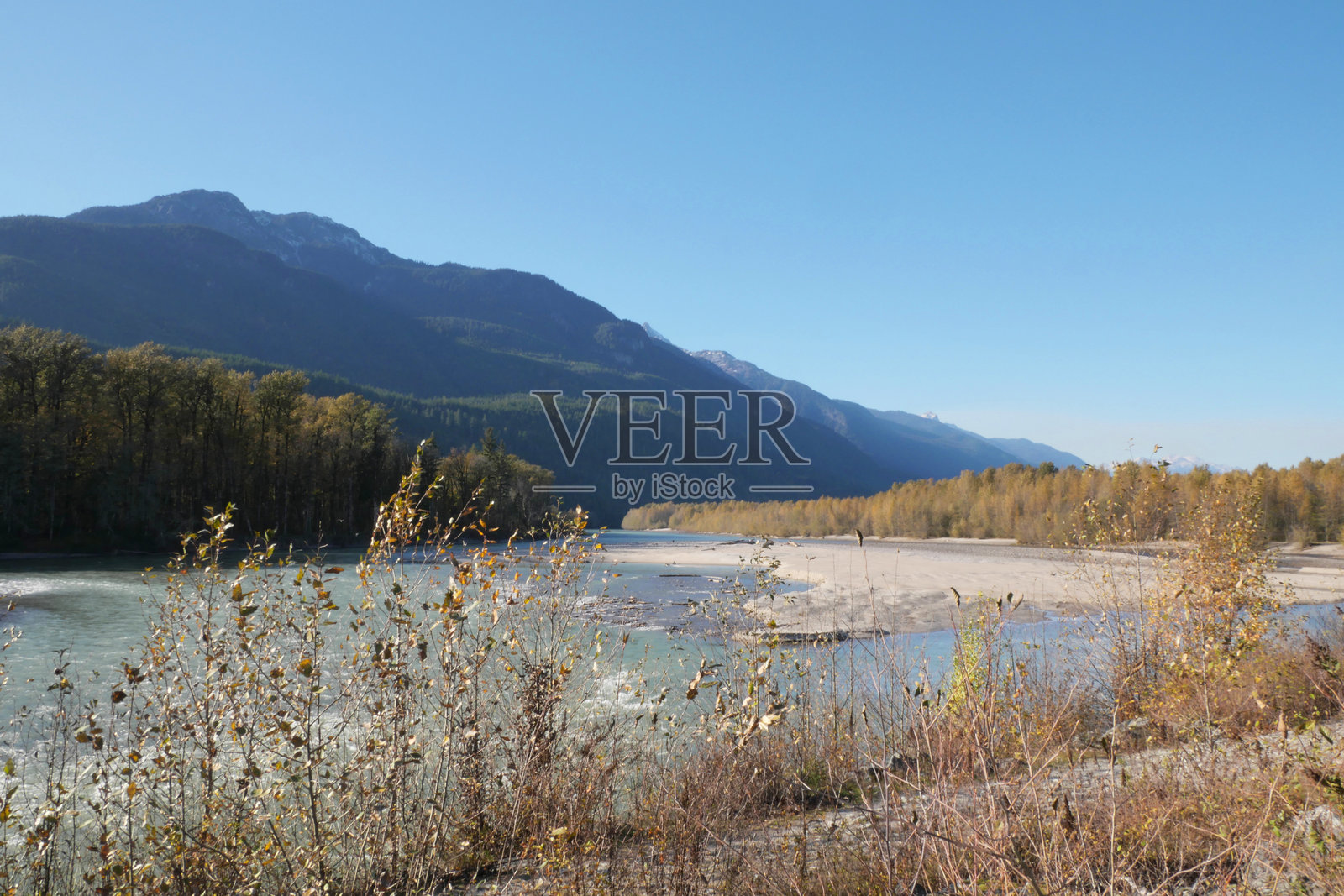 不列颠哥伦比亚省斯阔米什的布拉肯代尔鹰跑照片摄影图片