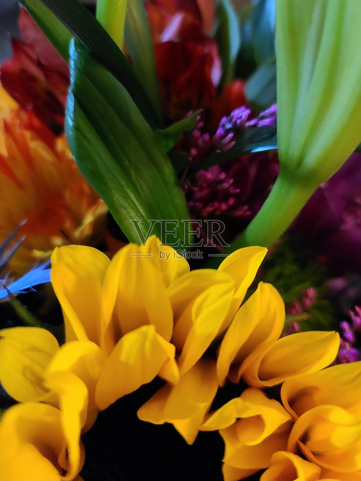 色彩鲜艳的花束，包括菊花和向日葵。照片摄影图片