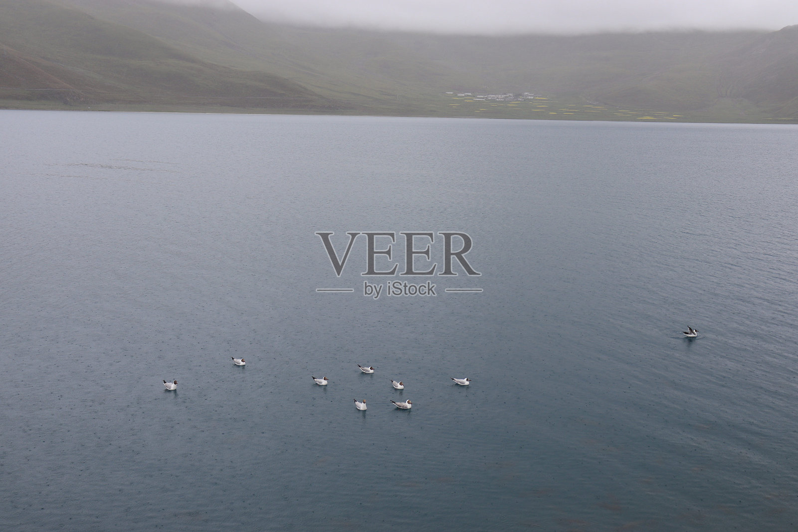 宁静的湖泊照片摄影图片