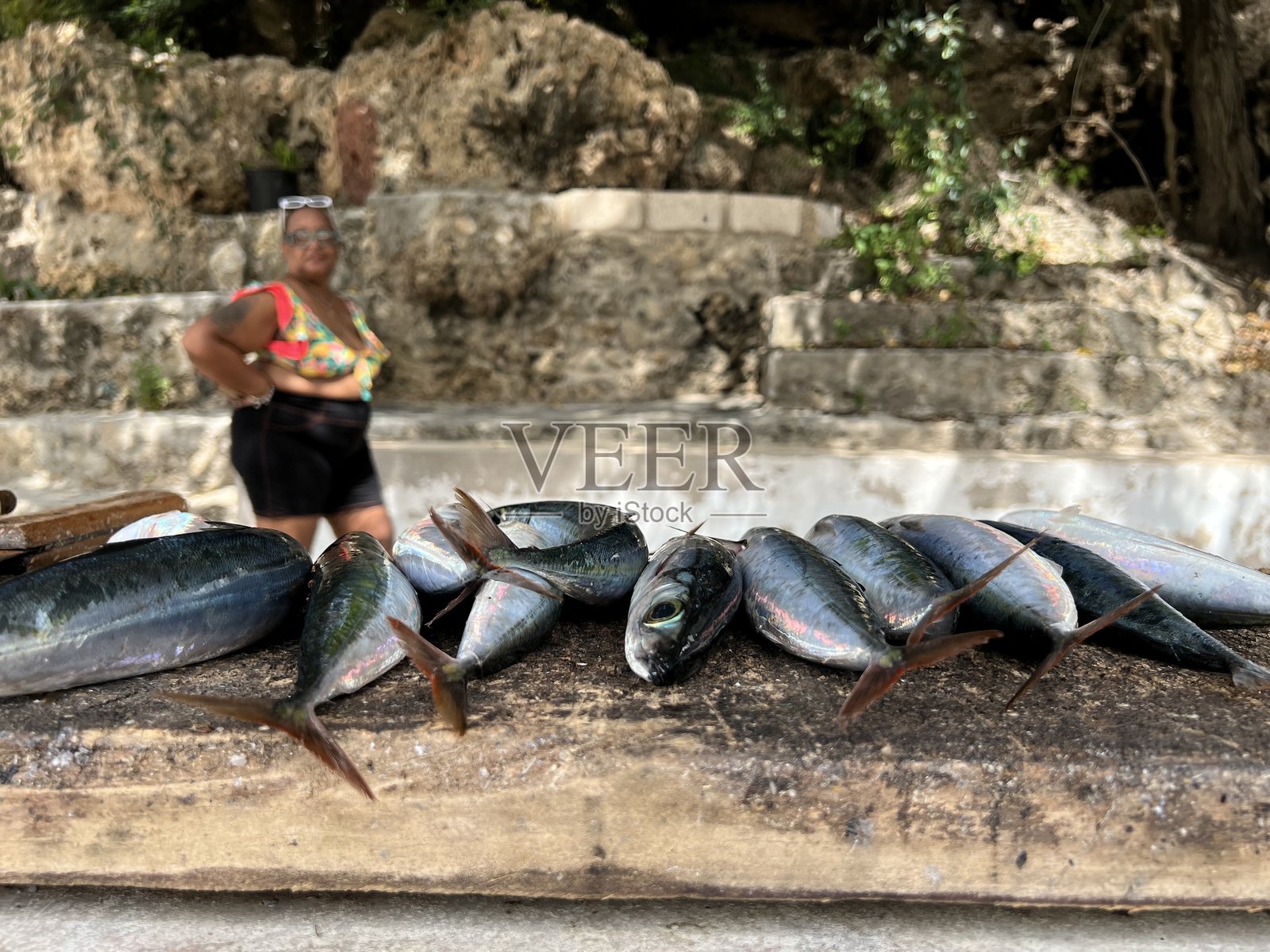 今日捕获照片摄影图片