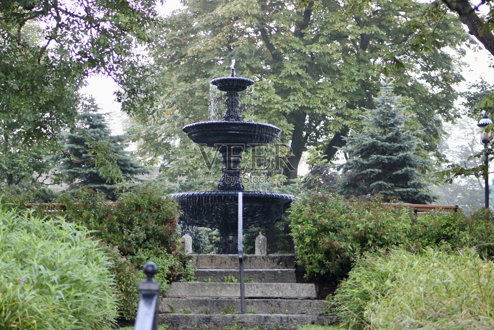 霜冻公园照片摄影图片