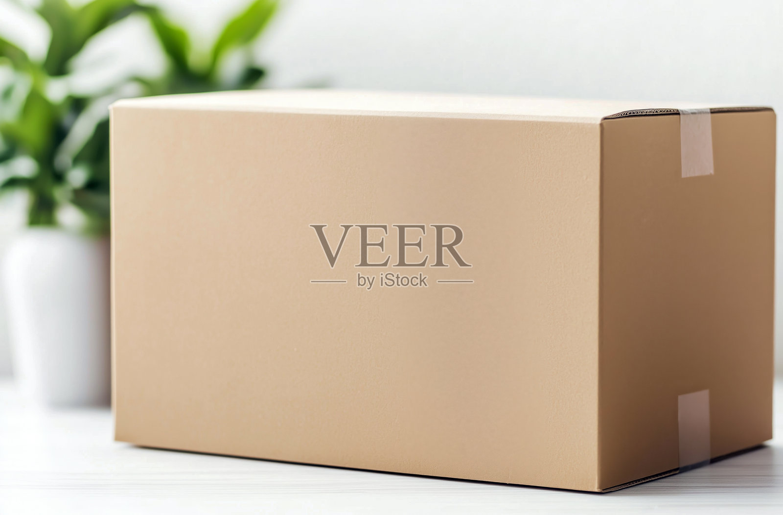 白色背景上的空纸箱，适合用于快递和包装，搭配室内绿植营造清新氛围照片摄影图片