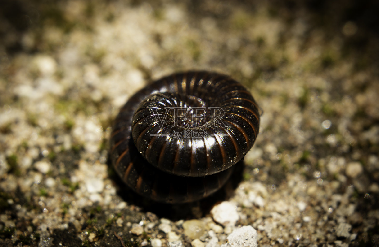 imbua照片摄影图片