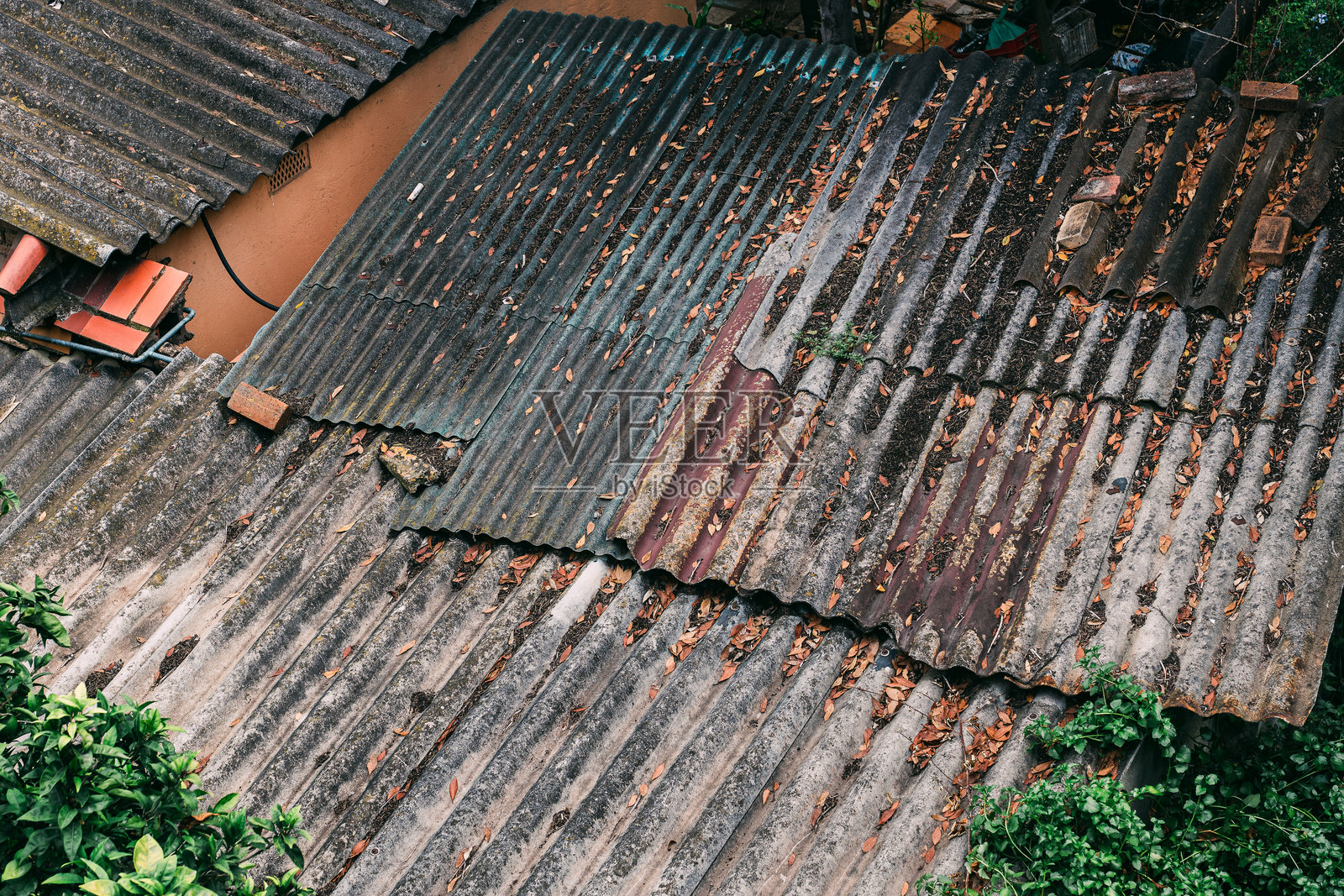 旧波纹金属屋顶与落叶照片摄影图片