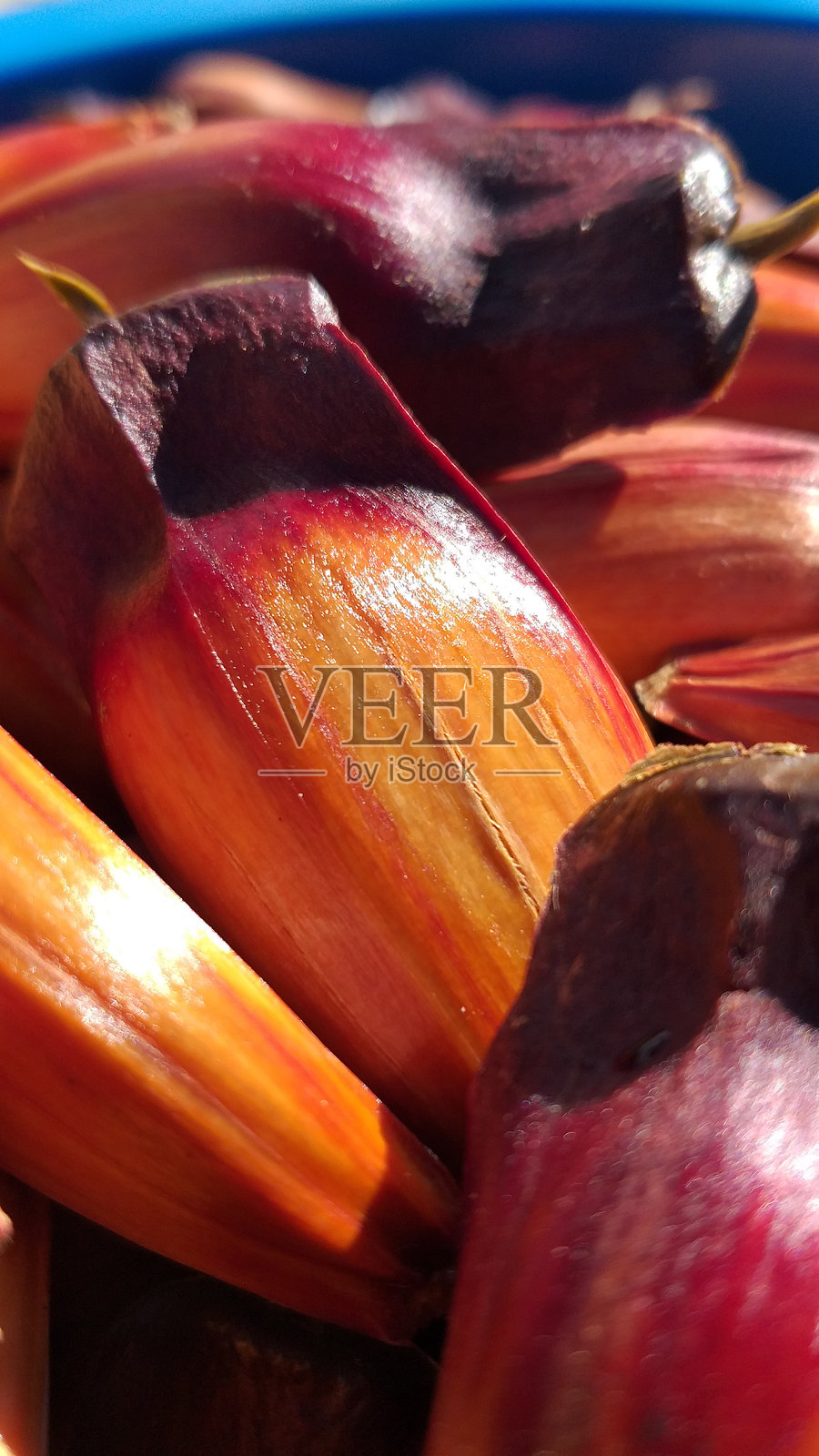 装满松子的红色桶照片摄影图片