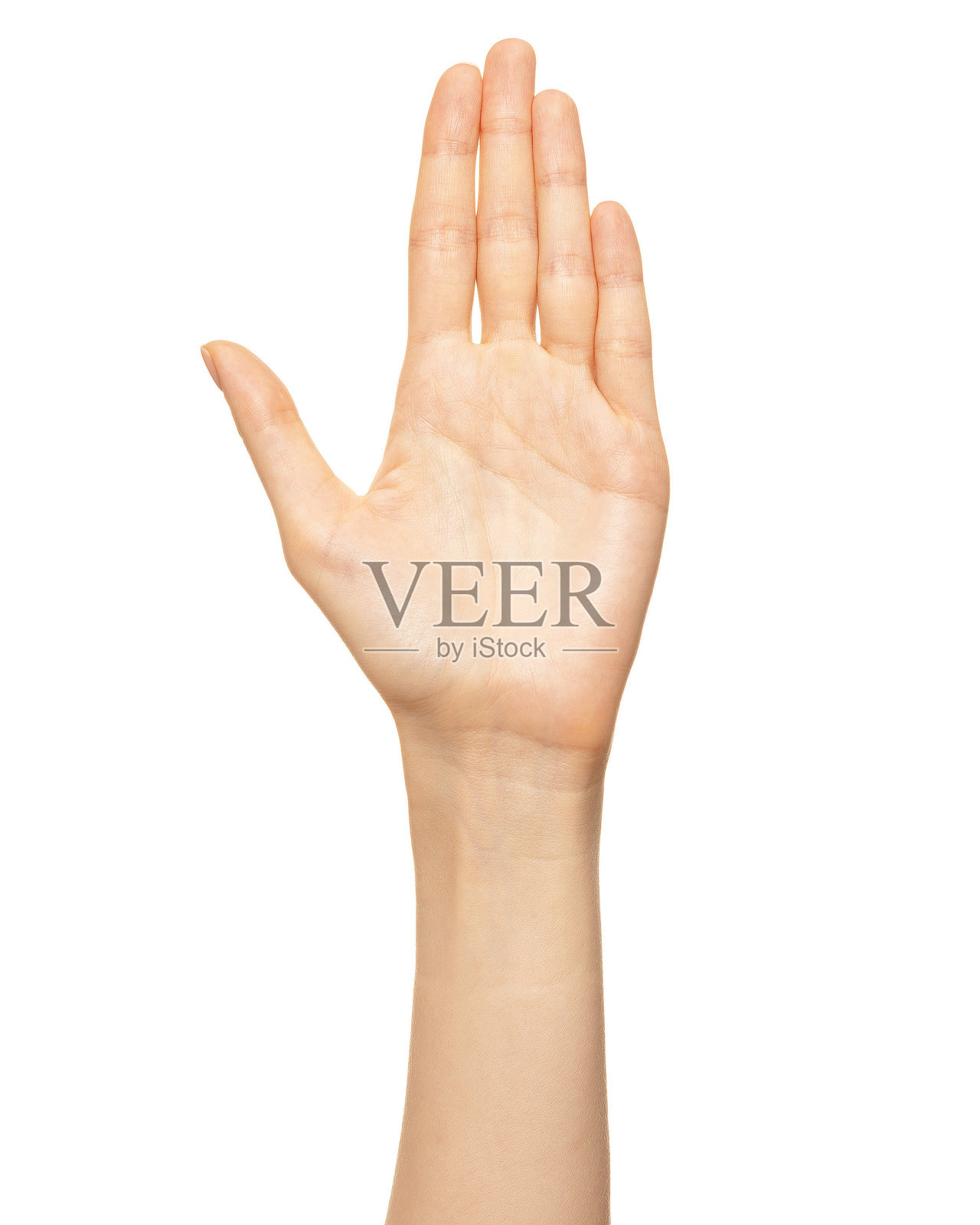 优雅的女性手掌或手腕，白色背景，背面视角。照片摄影图片