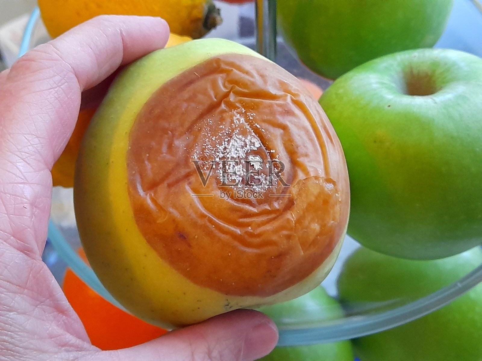 手中拿着一个腐烂的绿色苹果照片摄影图片