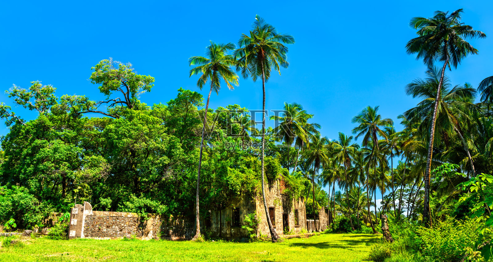 法属圭亚那救世主群岛圣约瑟夫岛的监狱遗址照片摄影图片