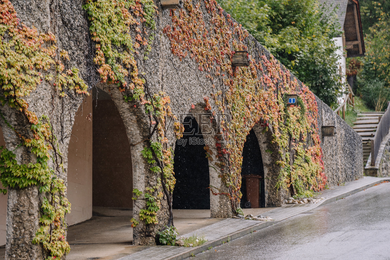 一面石墙上覆盖着常春藤的拱门,在雨天展现出五彩斑斓的叶子和通往拱门的路径。照片摄影图片