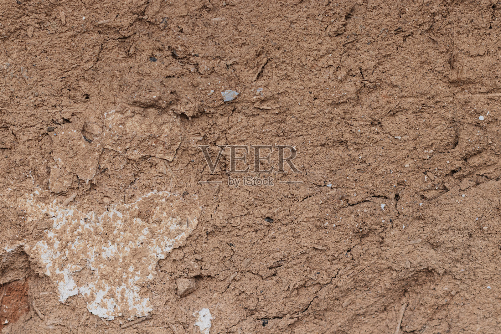 2399照片摄影图片