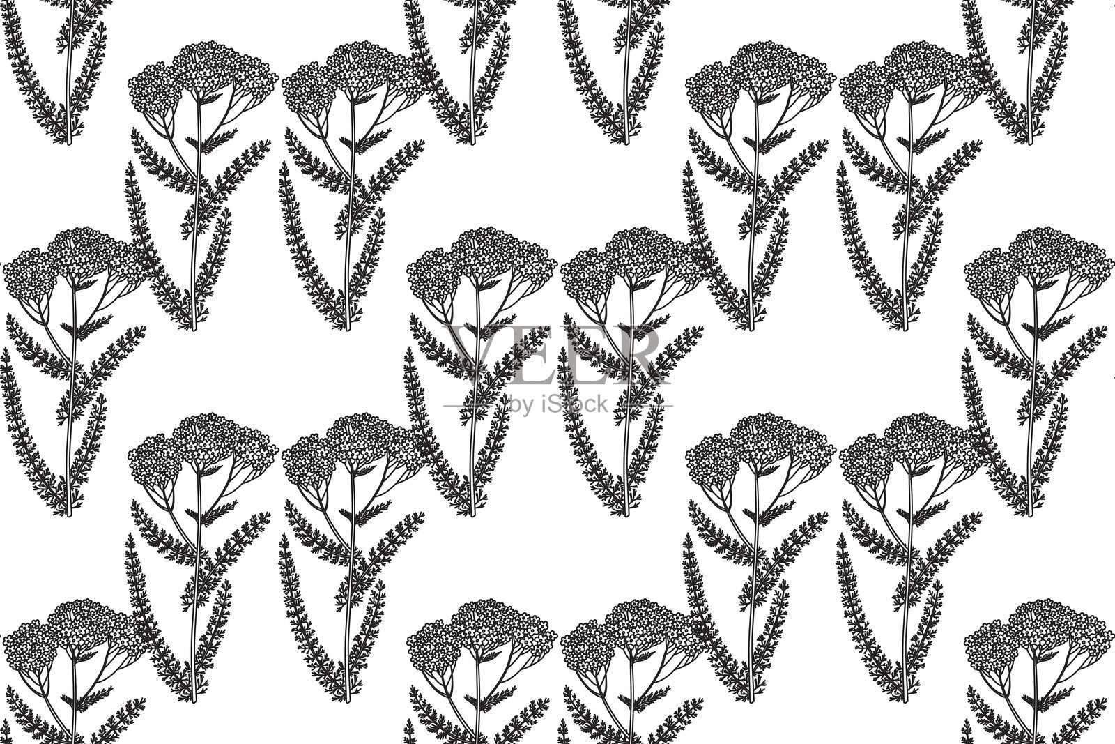 线条艺术植物无缝花卉图案，包含野花的矢量插图。黑色轮廓在白色背景上重复的药用植物。适用于时尚封面、纺织品和涂色页的图形设计。插画图片素材