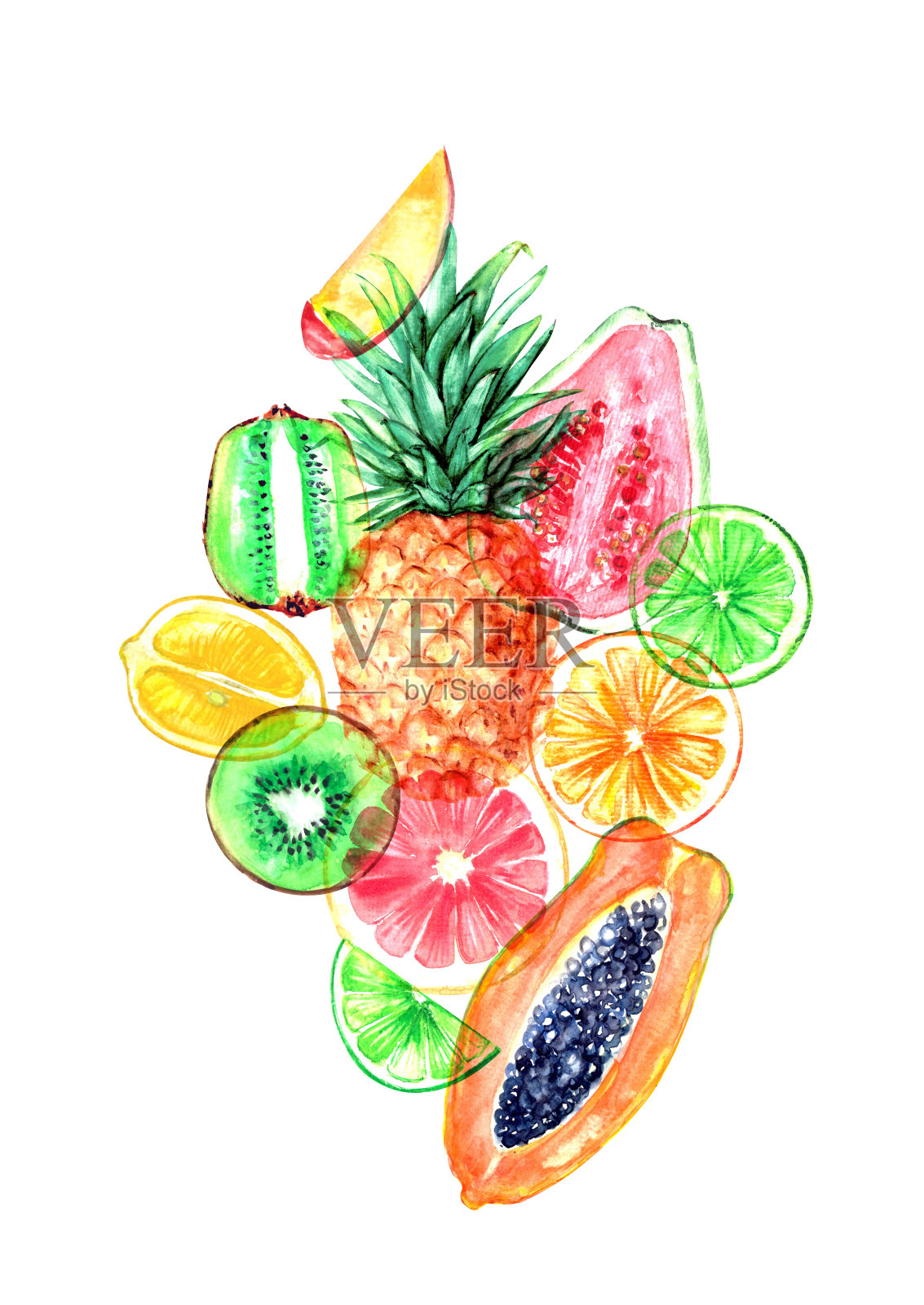 手绘水彩热带异国水果插图。菠萝、木瓜、番石榴、猕猴桃、青柠、橙子切片，适用于食品和饮料背景。插画图片素材