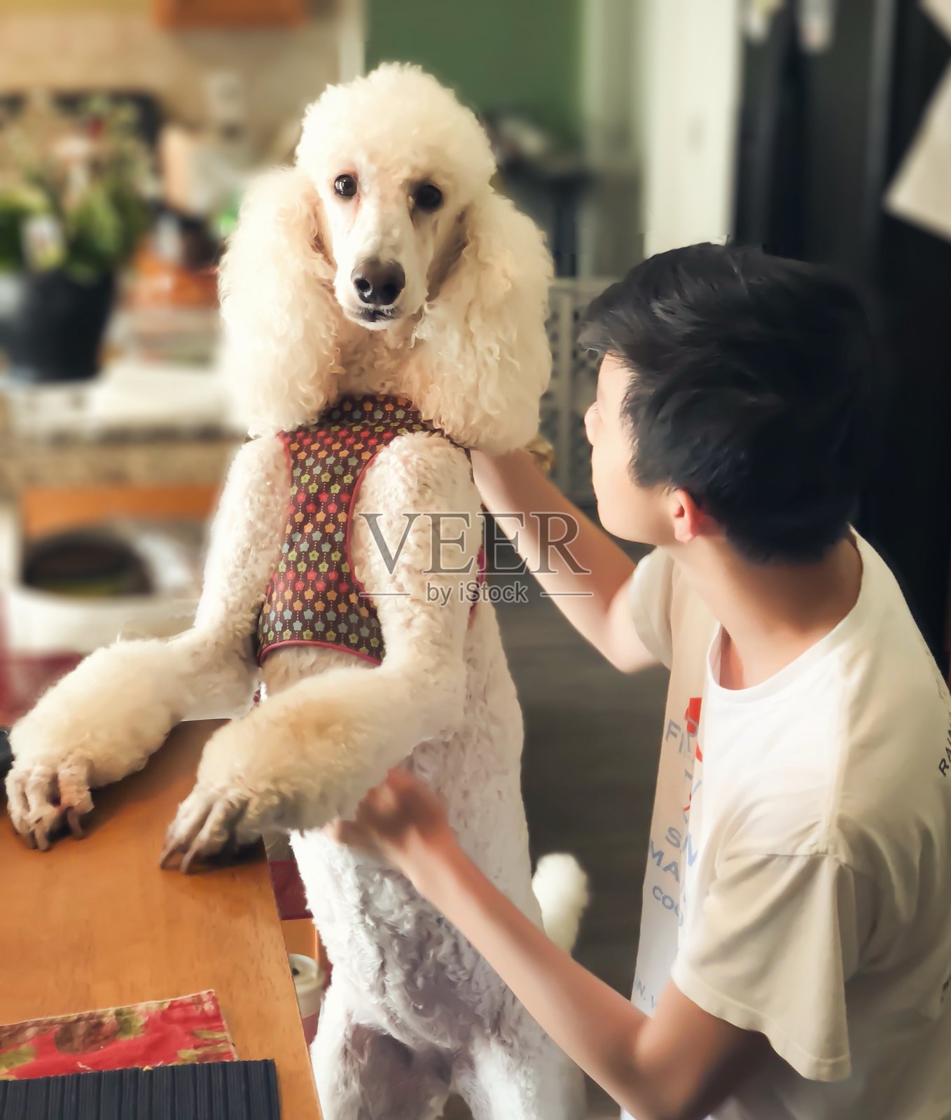 侧面视角的女人与狗照片摄影图片