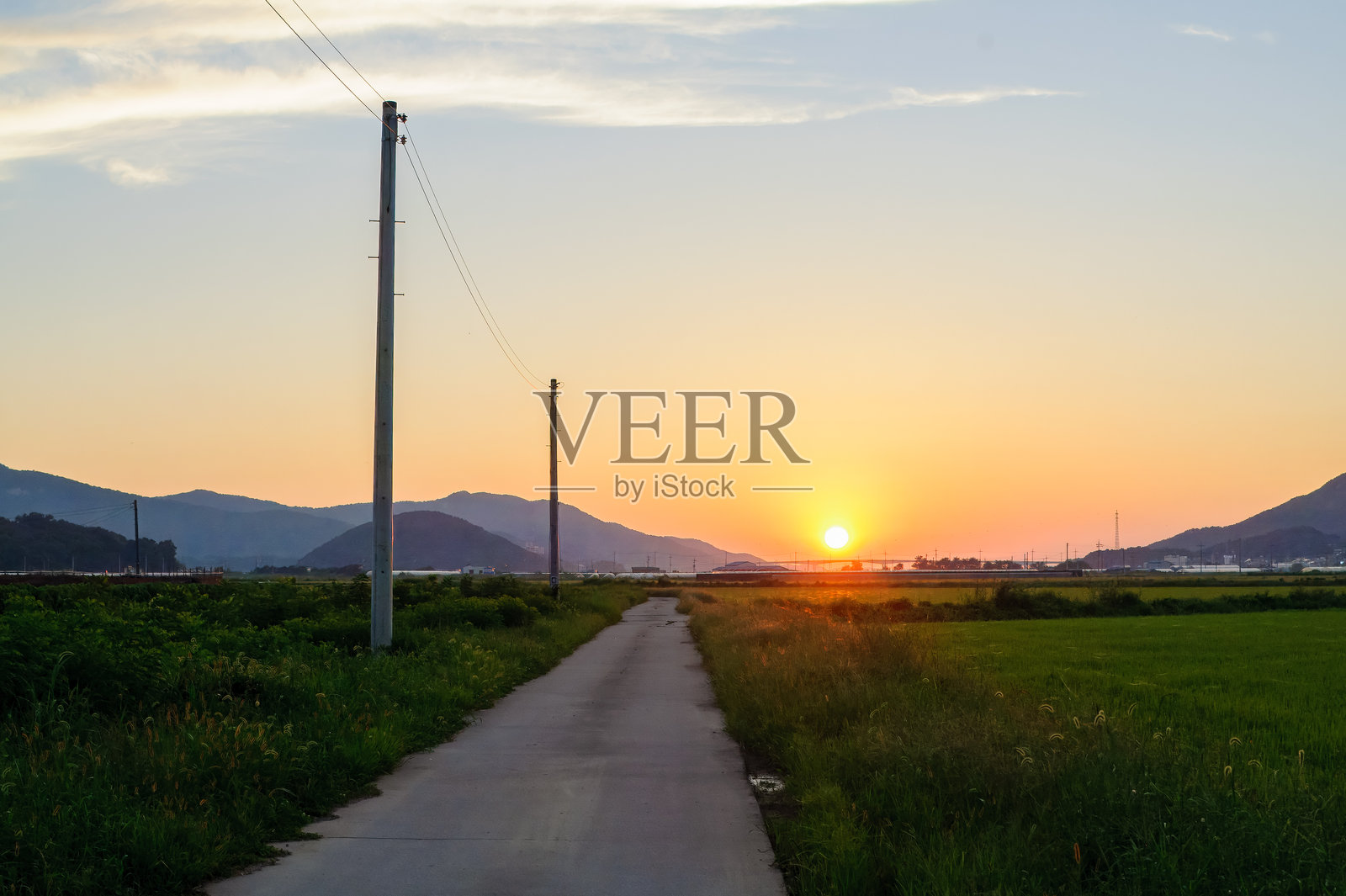 乡村农田小路上有一根电线杆，夕阳西下。照片摄影图片