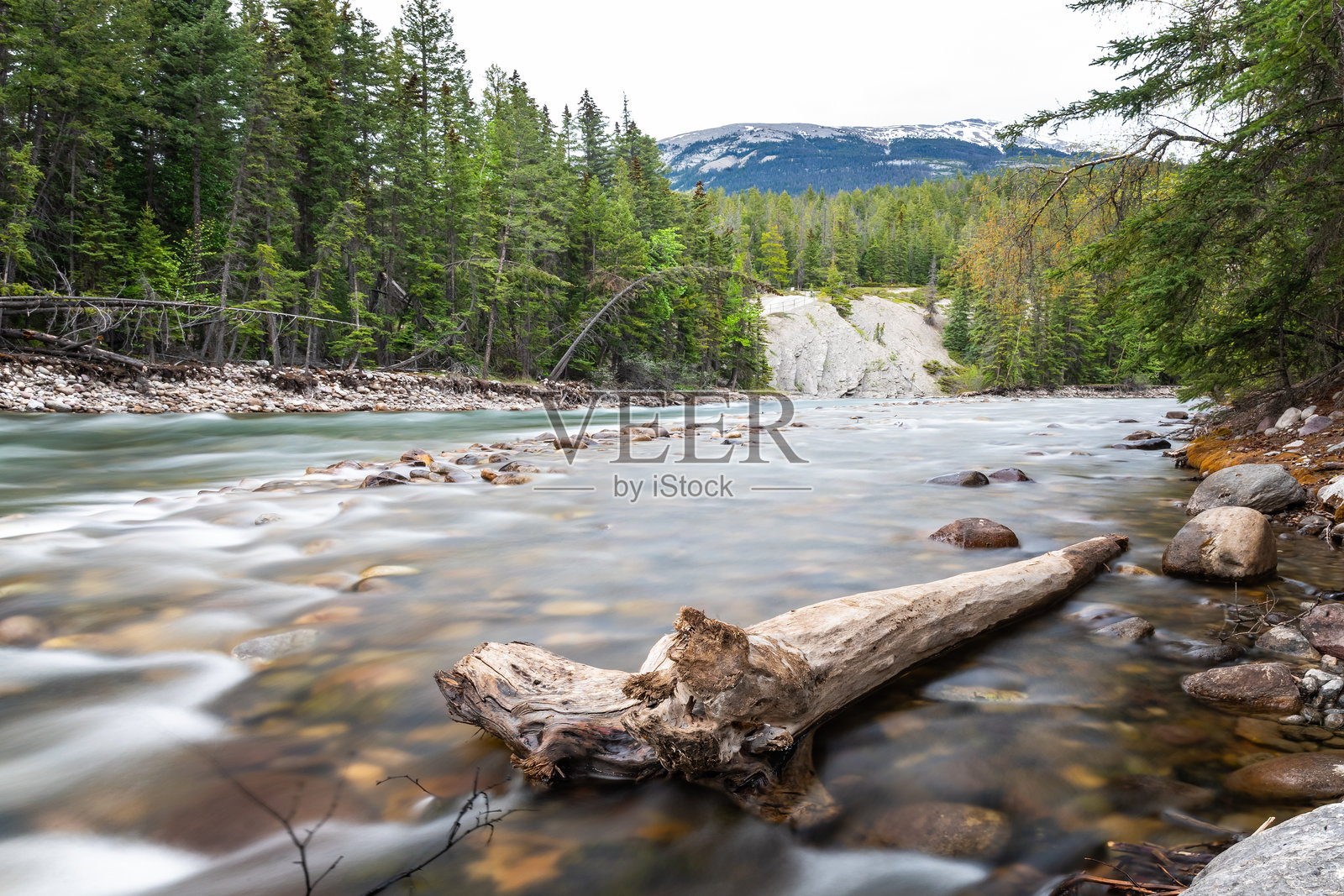 阿尔伯塔省贾斯珀的马林峡谷附近令人惊叹的河流，春季时节，周围是清澈、原始的冰川水、岩石和美丽的景色，环绕着北方森林。照片摄影图片