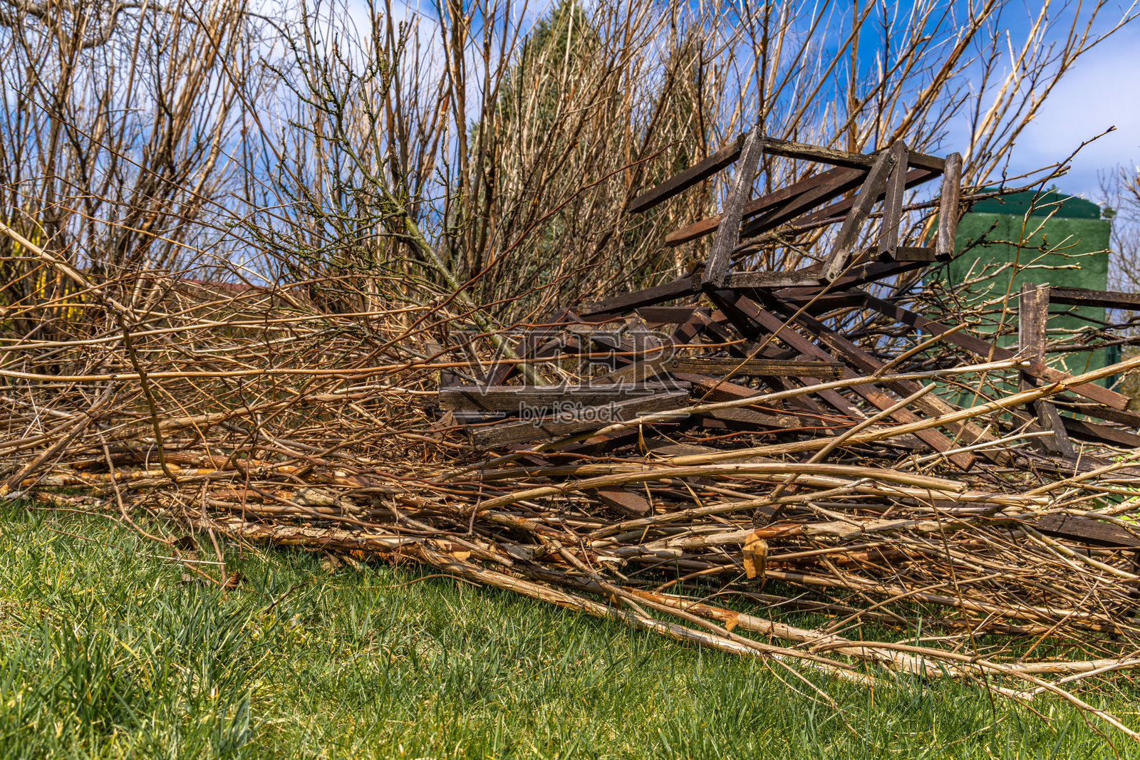 花园里剪下的树枝，果园里整理，剪掉的老树芽，堆放在一起的树枝照片摄影图片